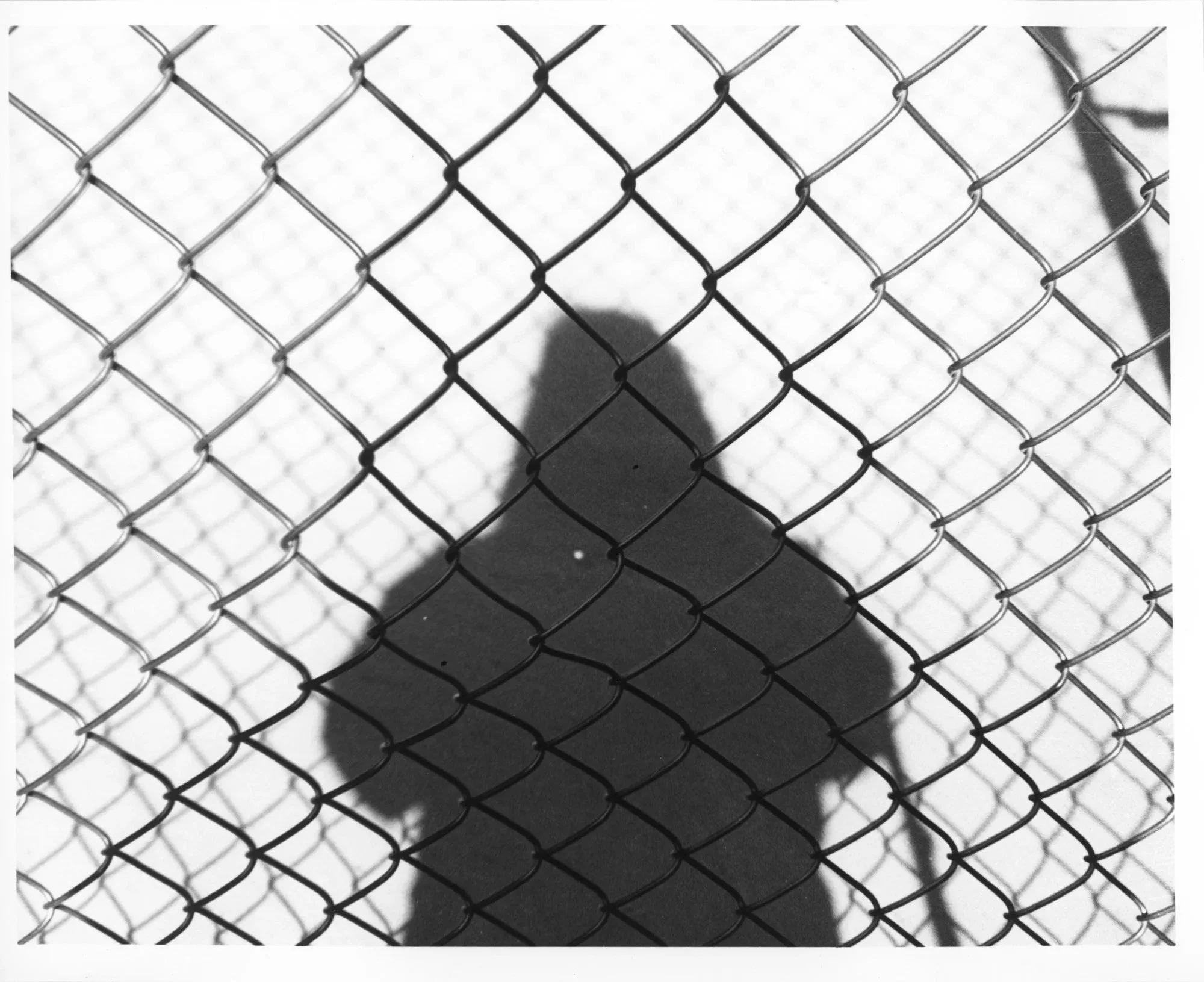 Portfolio12.jpg