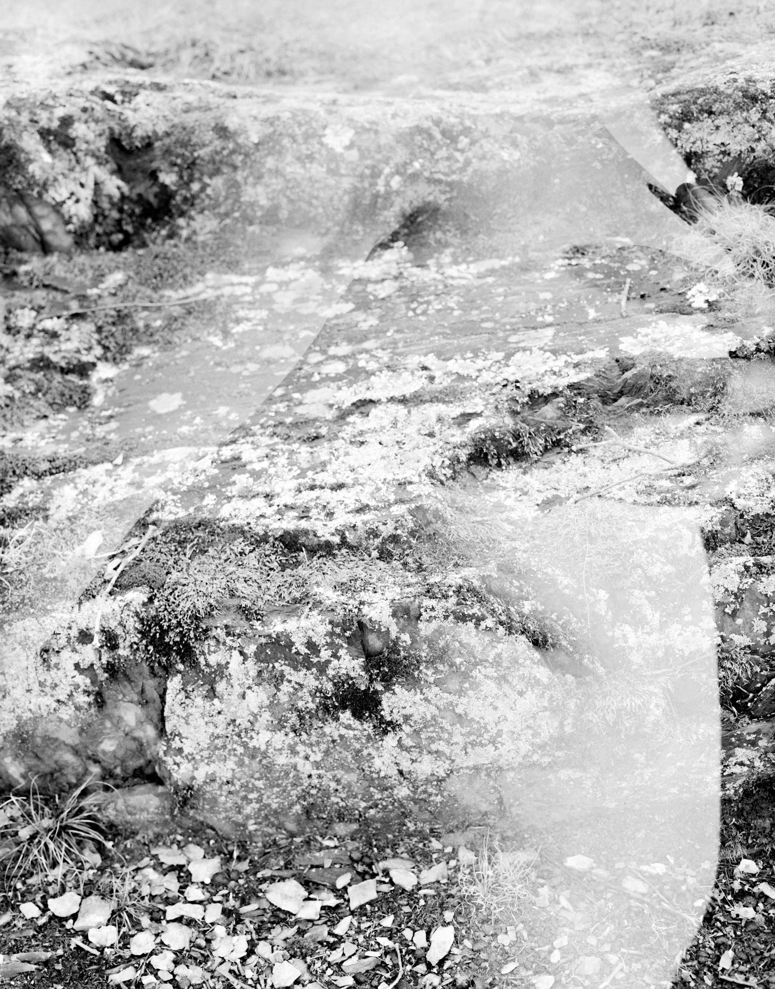 side-1 copy.jpg