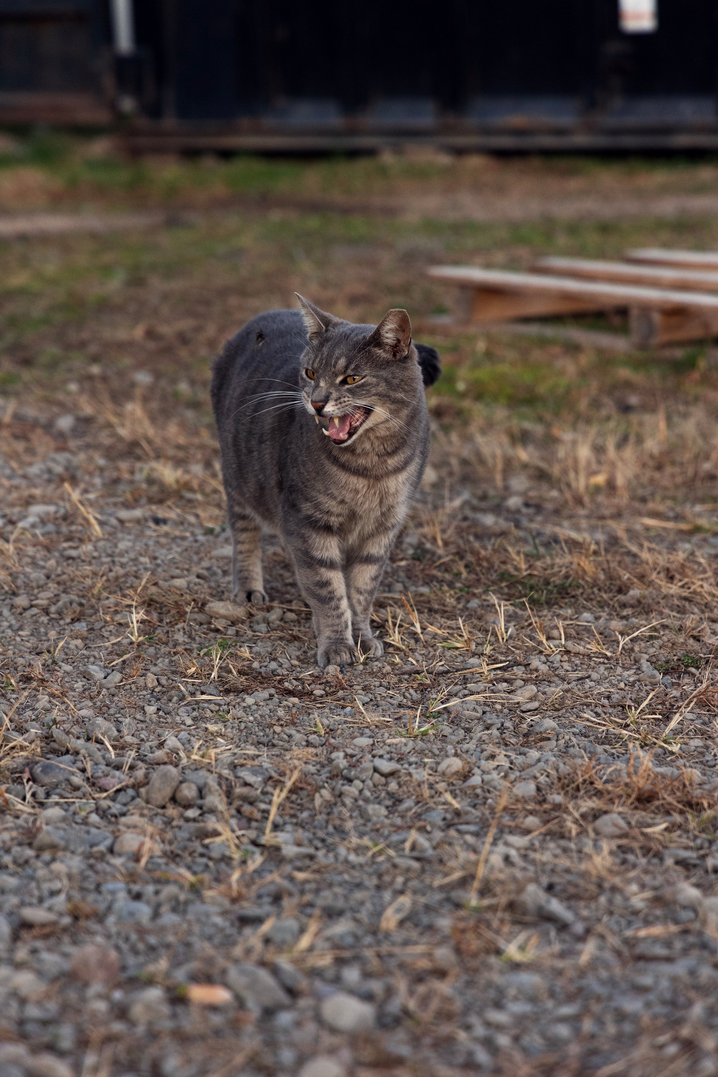 ThirdShoot_275-1.jpg