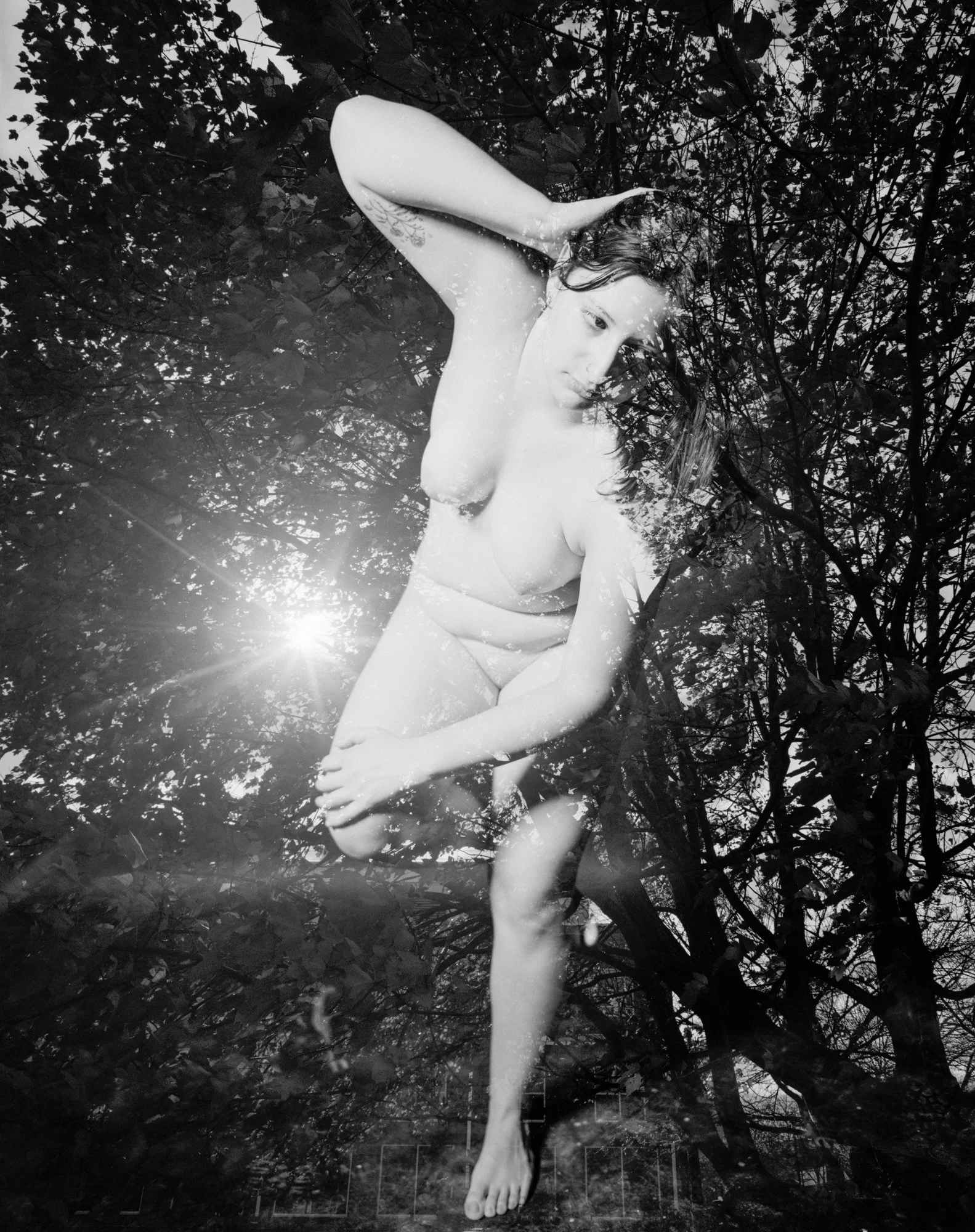 sun-1 copy.jpg