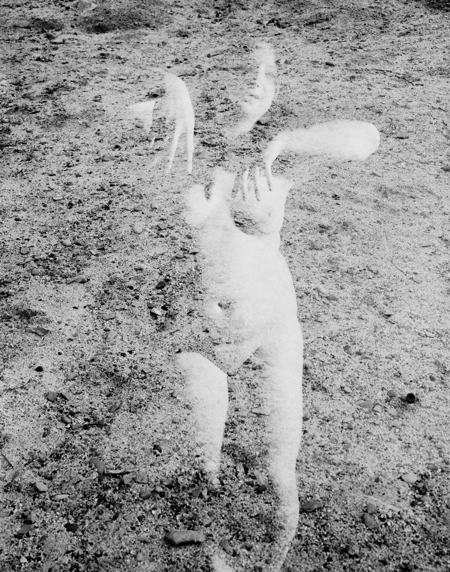 body-1 copy.jpg