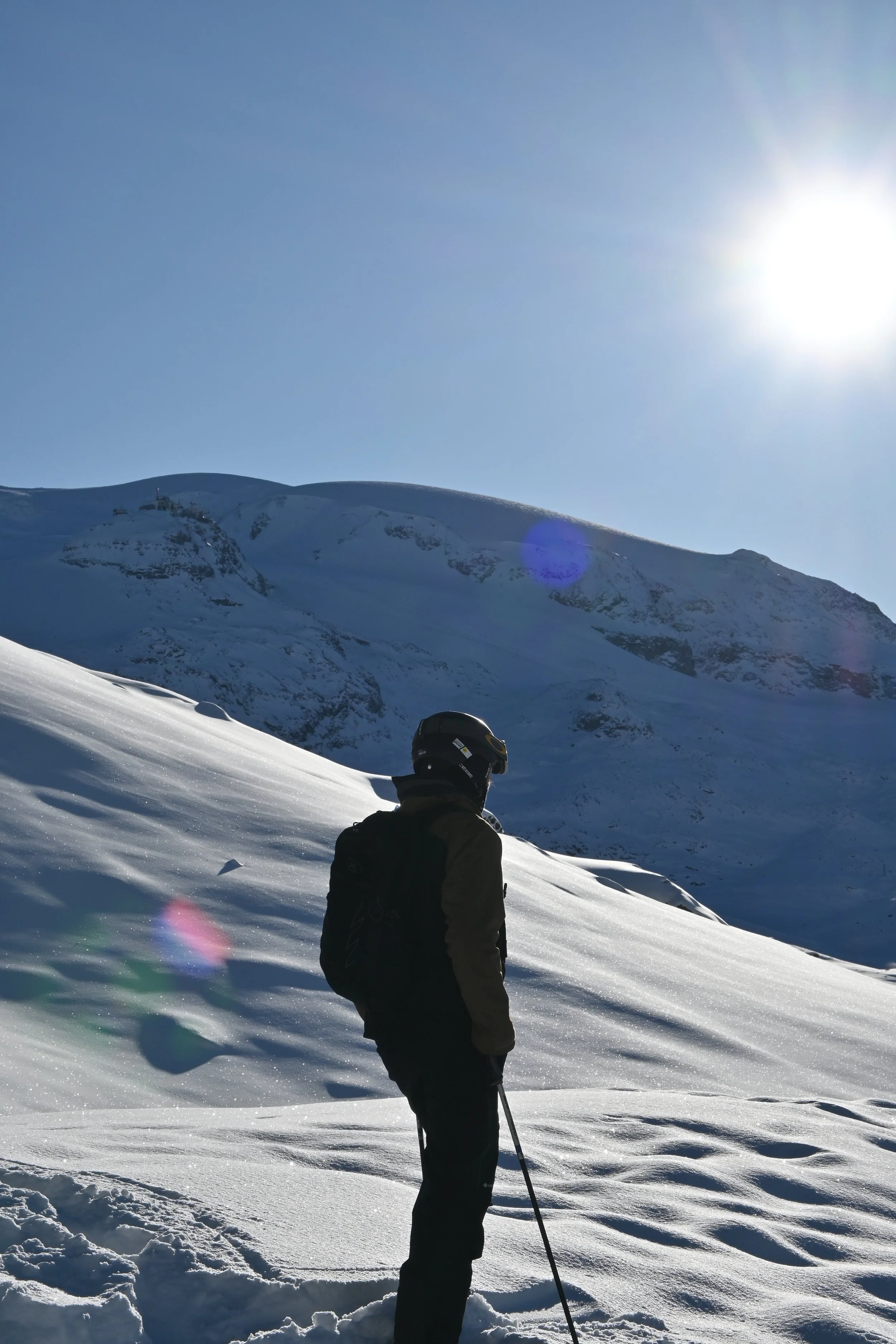 DSC_0529.JPG