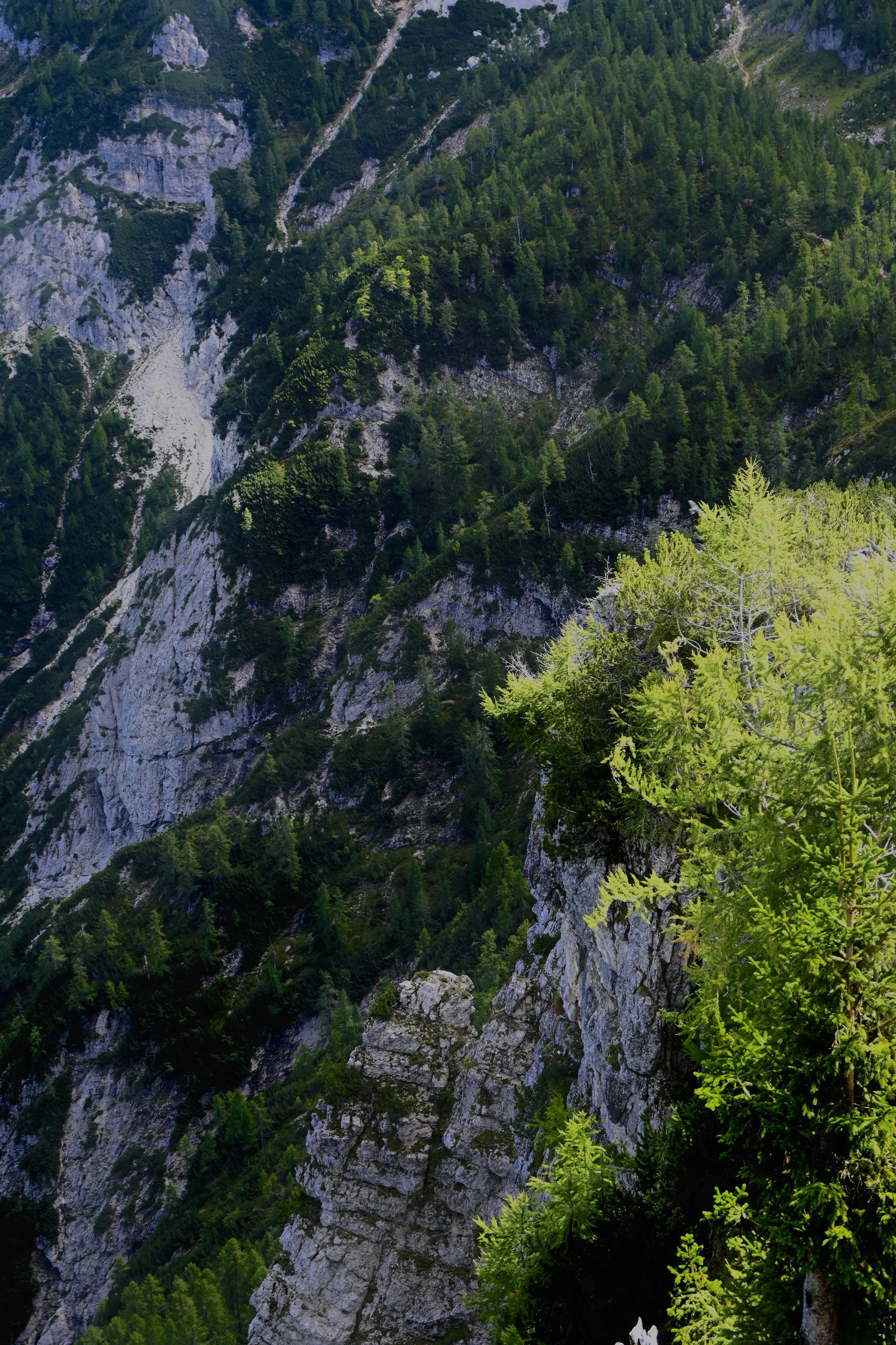 Shade side of a mountain