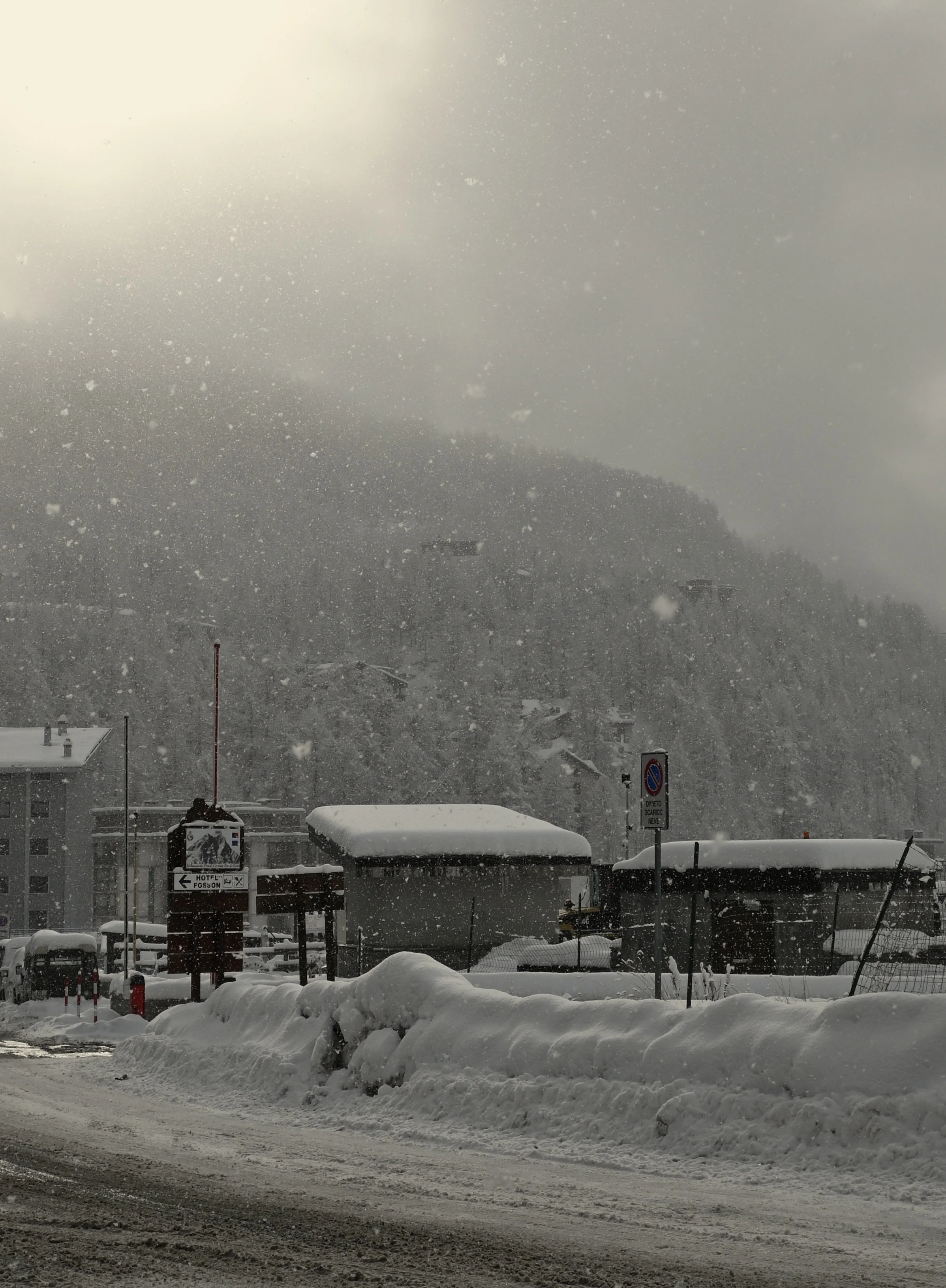 DSC_0561.JPG