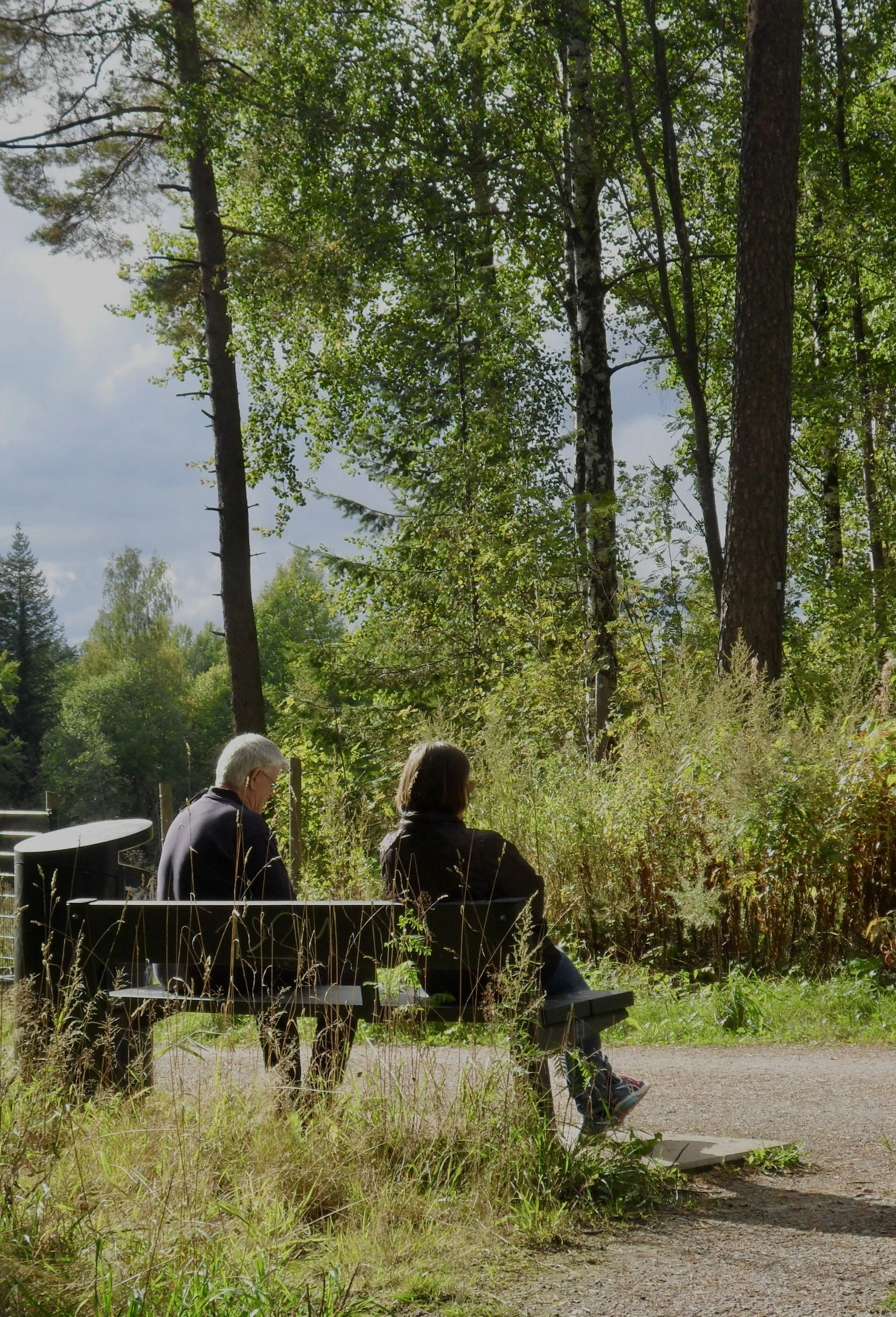 Park bench in September