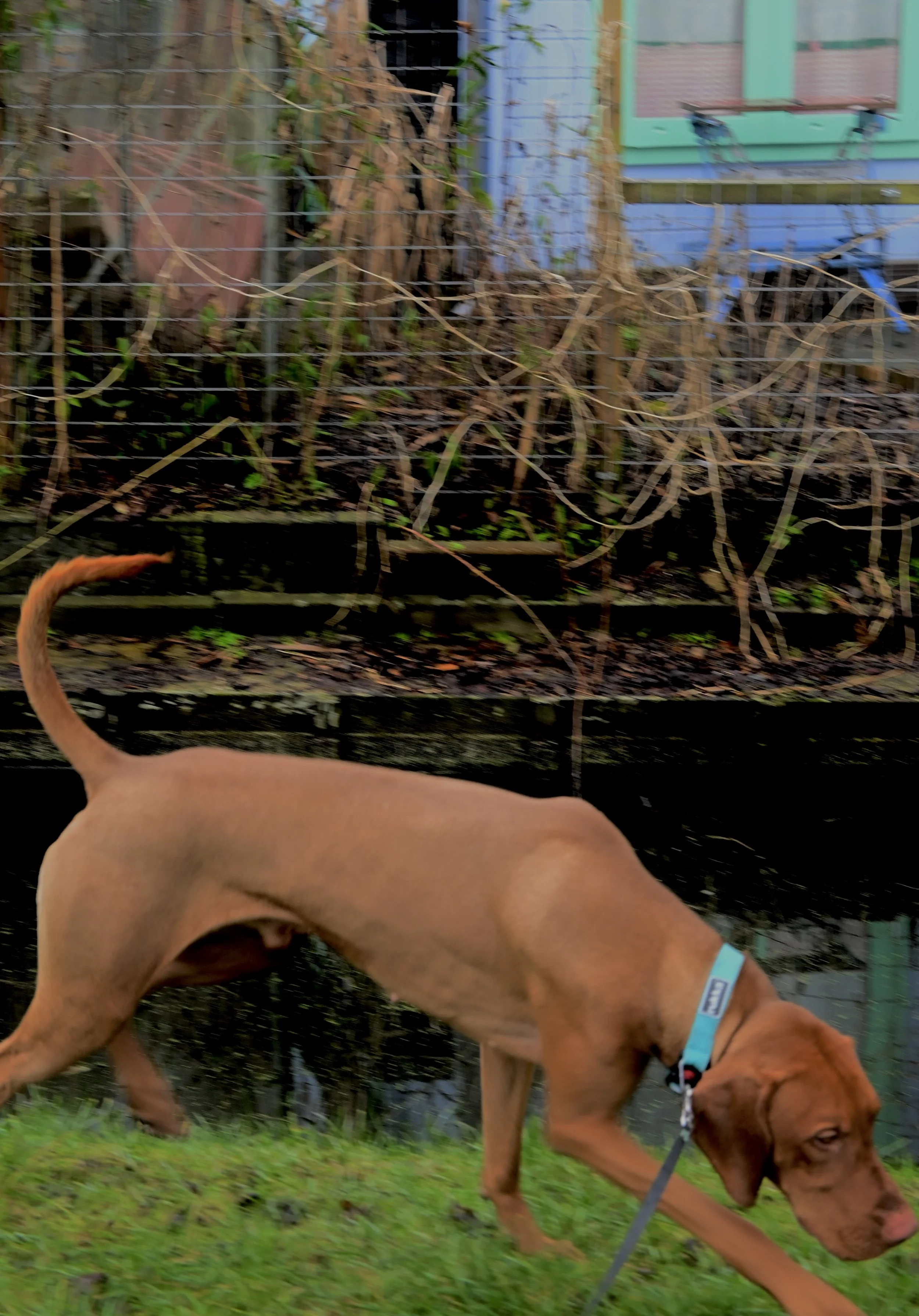 DSC_0632.JPG