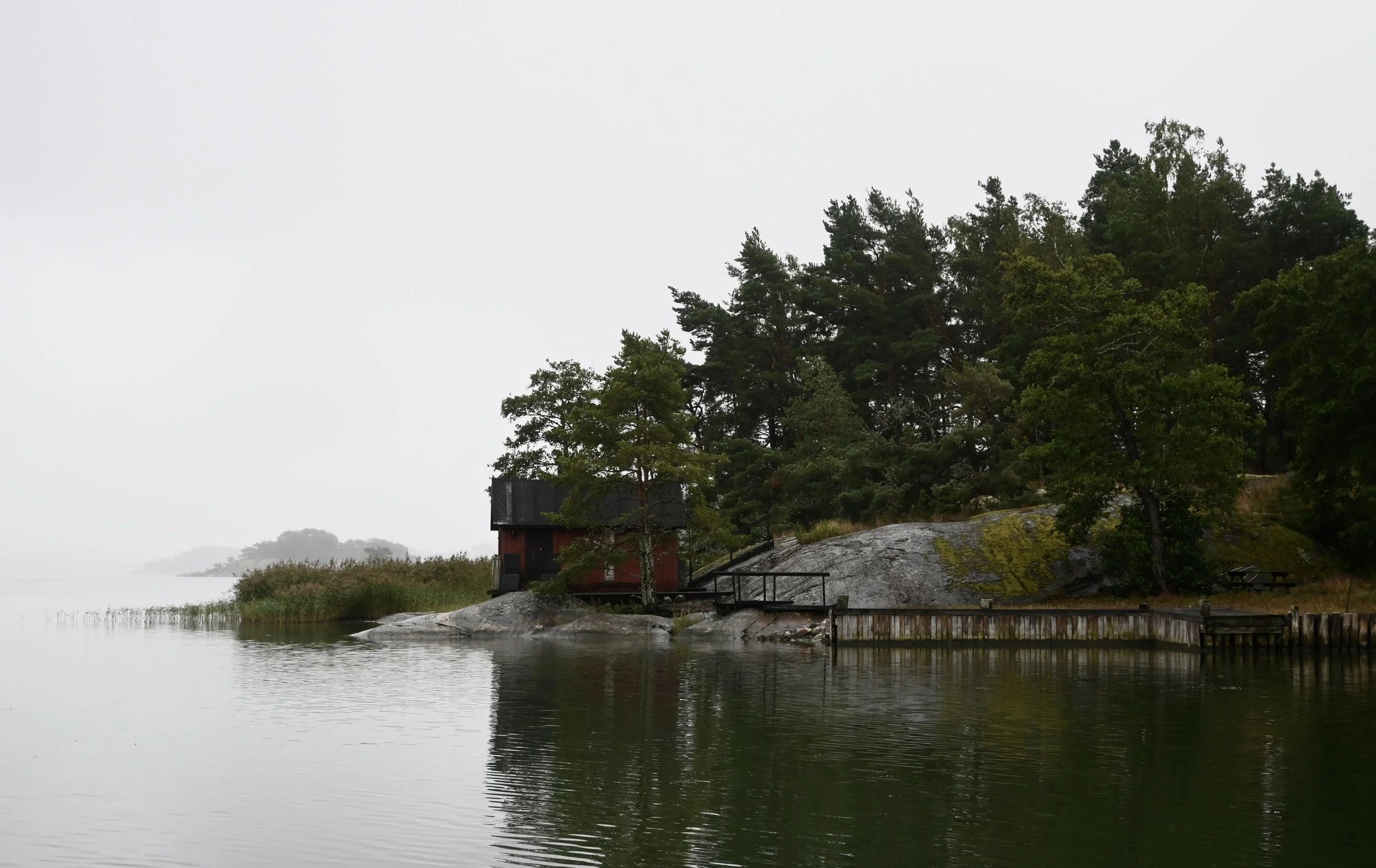 DSC_0050 2.JPG