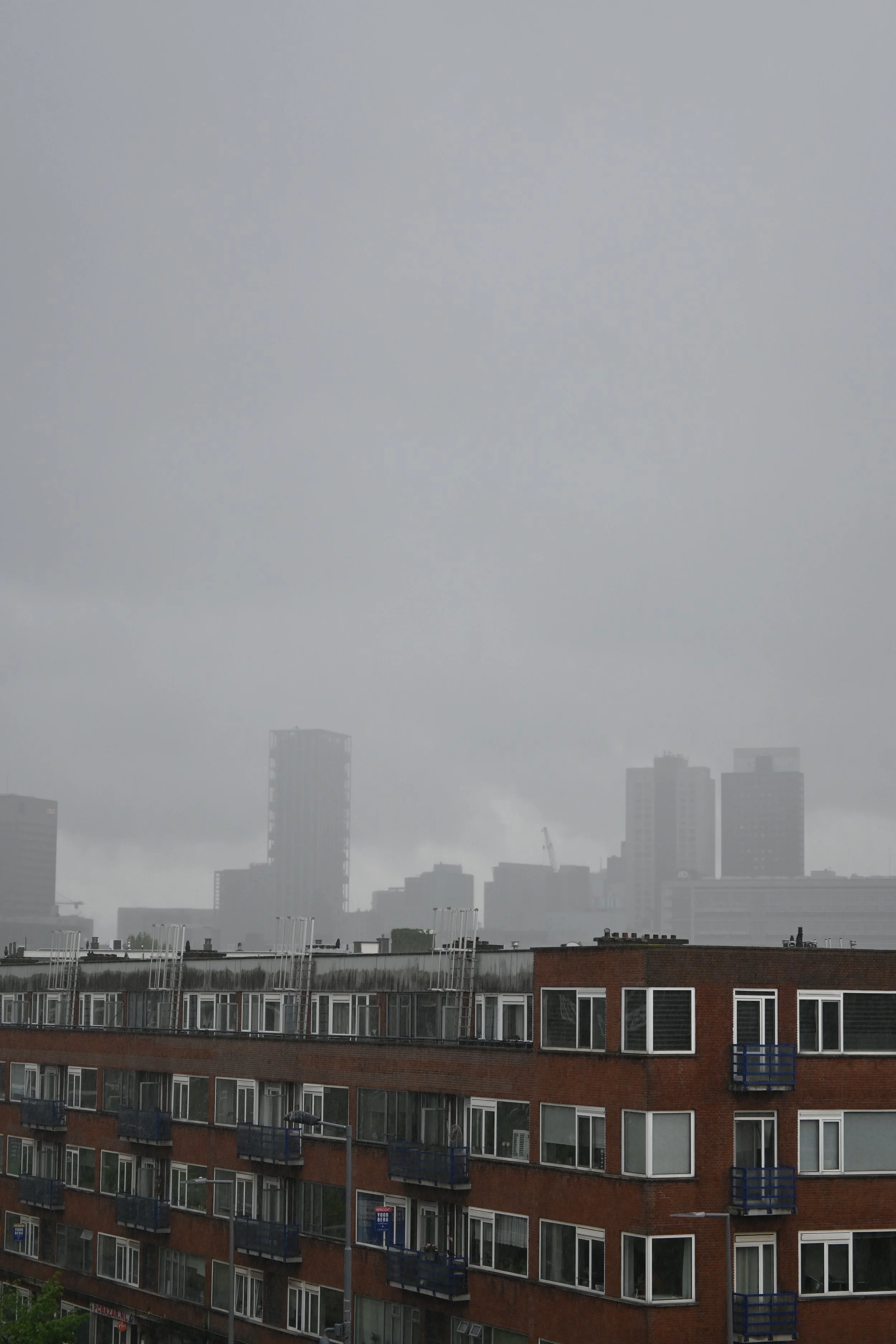 DSC_0733.JPG