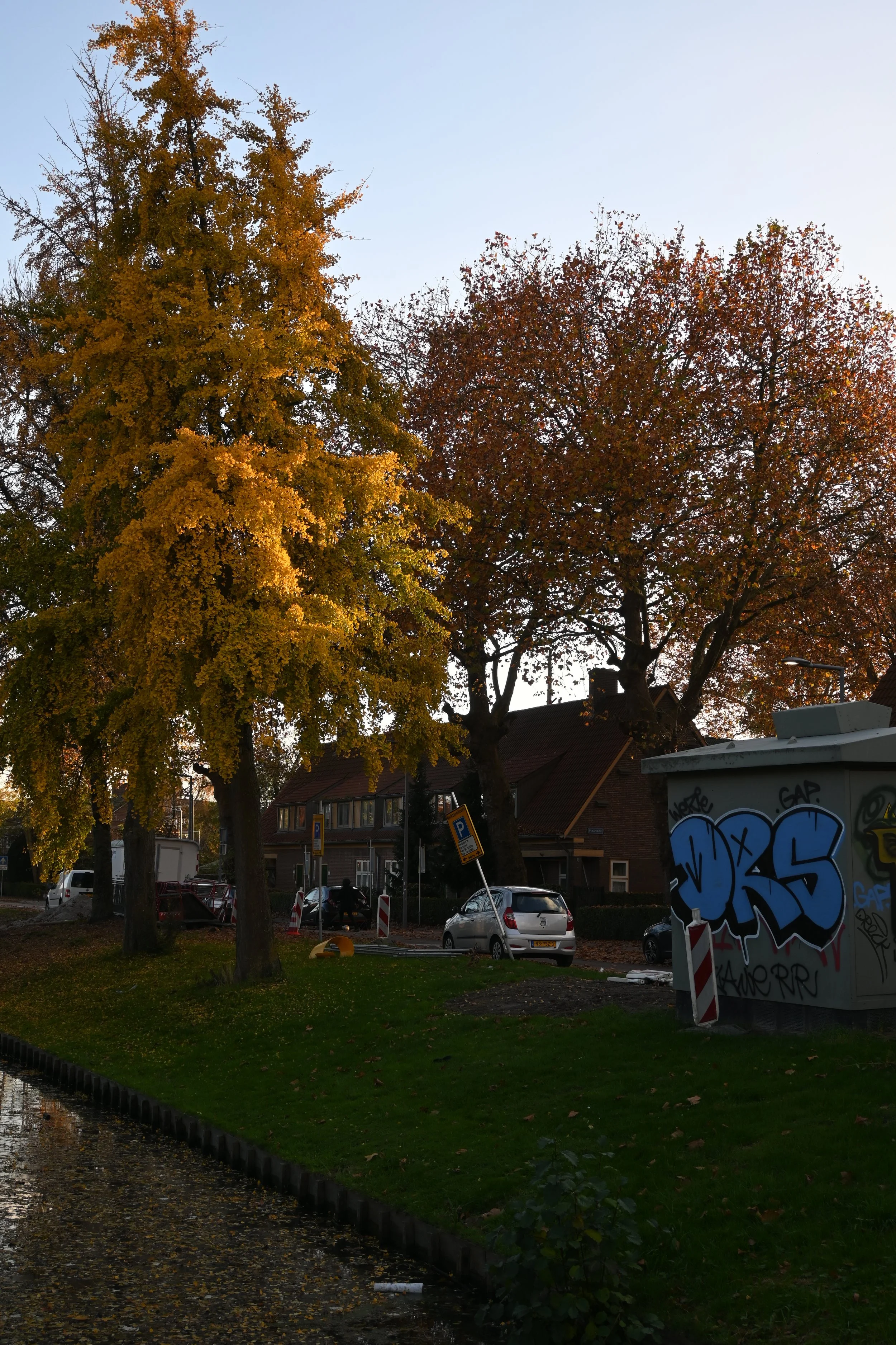 DSC_0464.JPG