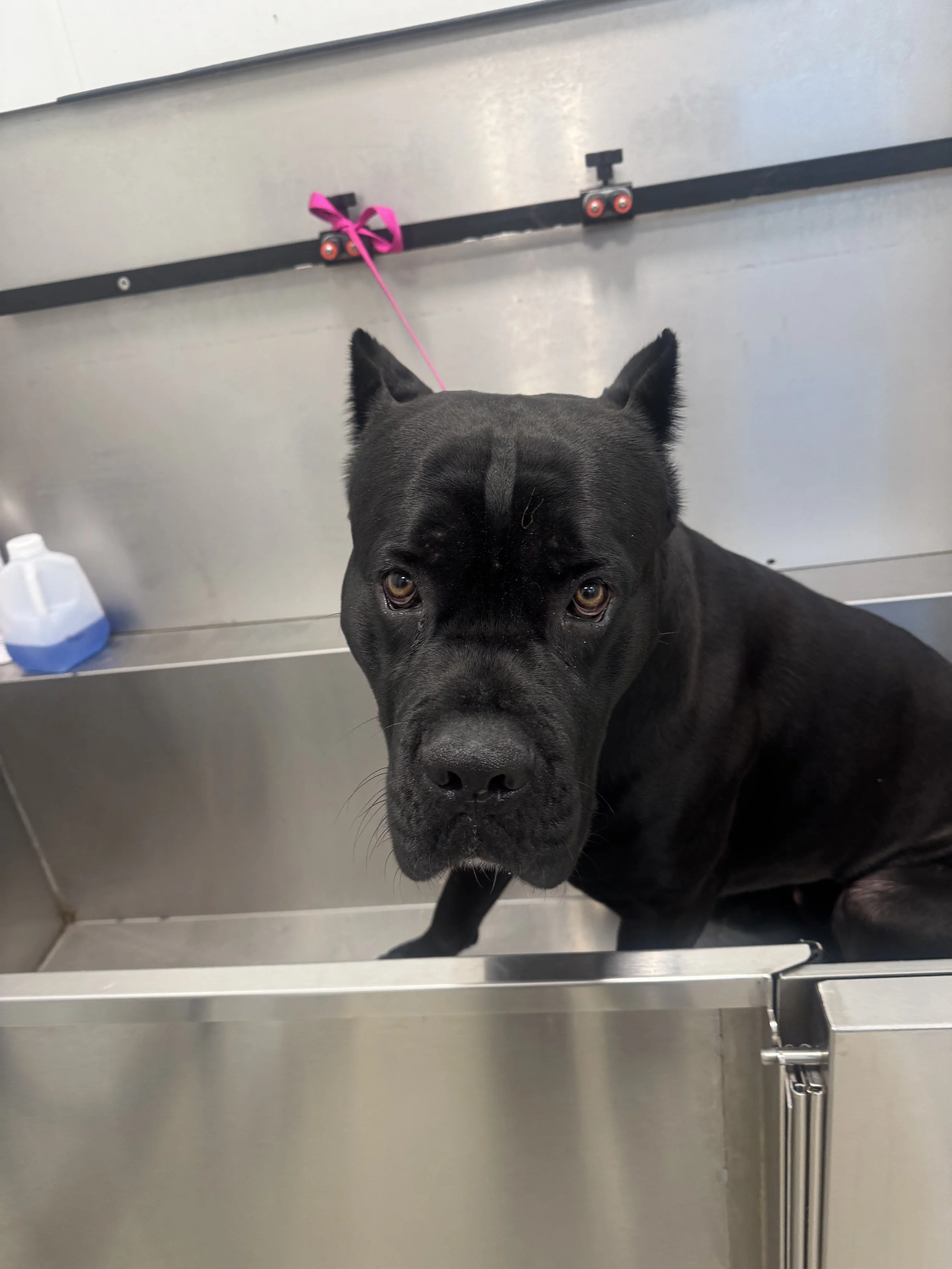 Basic Bath