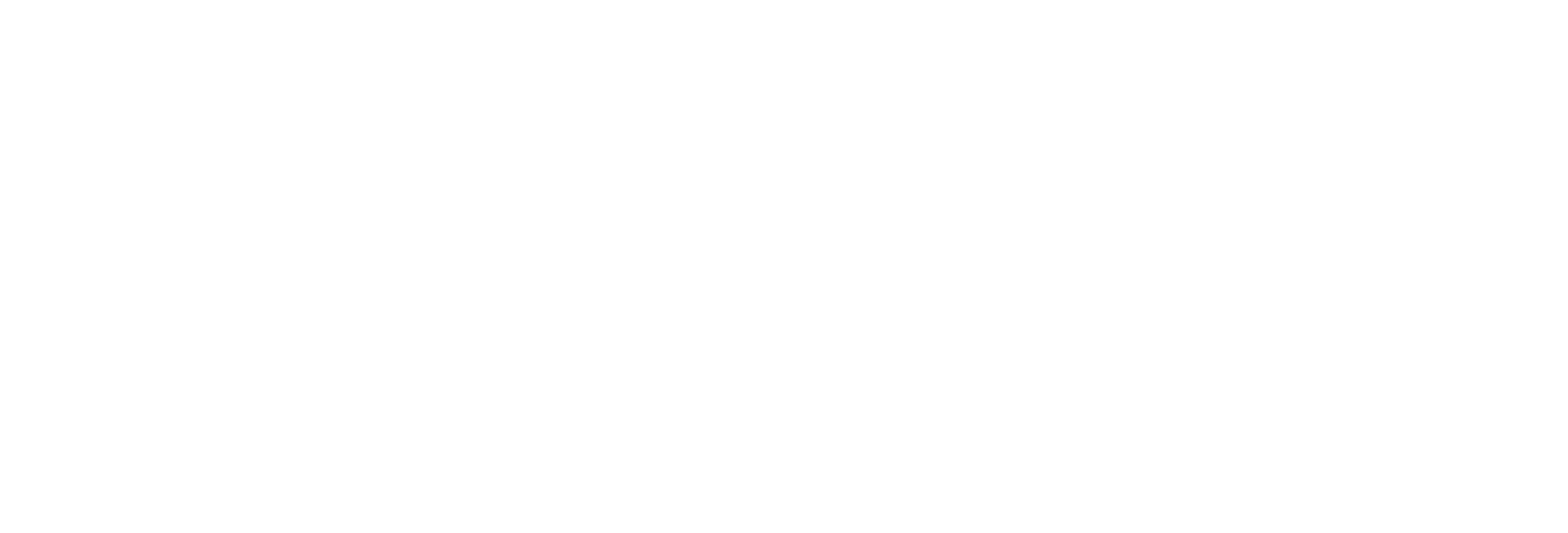 Black background with the white text 'APIS' in capital letters.