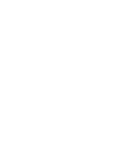 Outline of a medal with a star at the center and two ribbons hanging below.