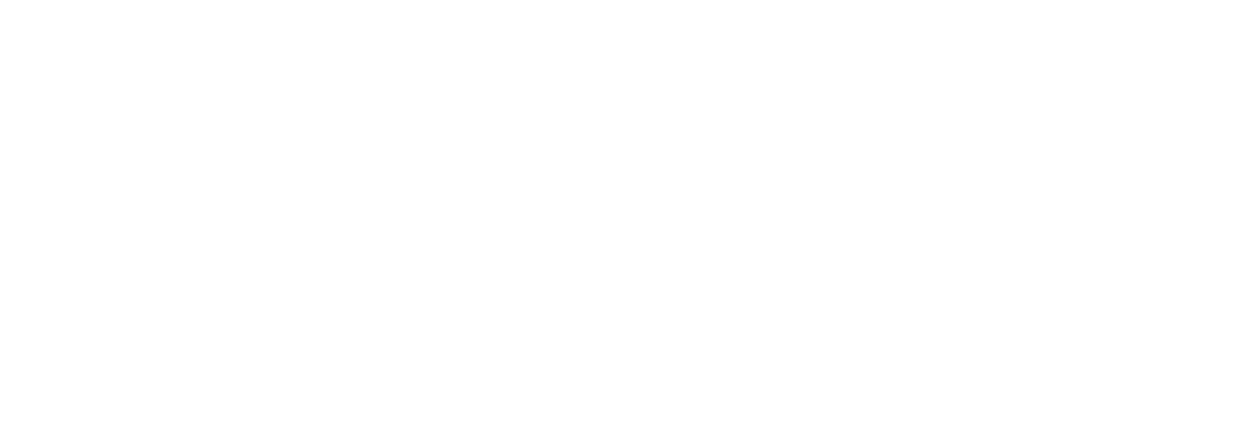 LeadSmart logo with the text 'LeadSmart' in white on a black background.