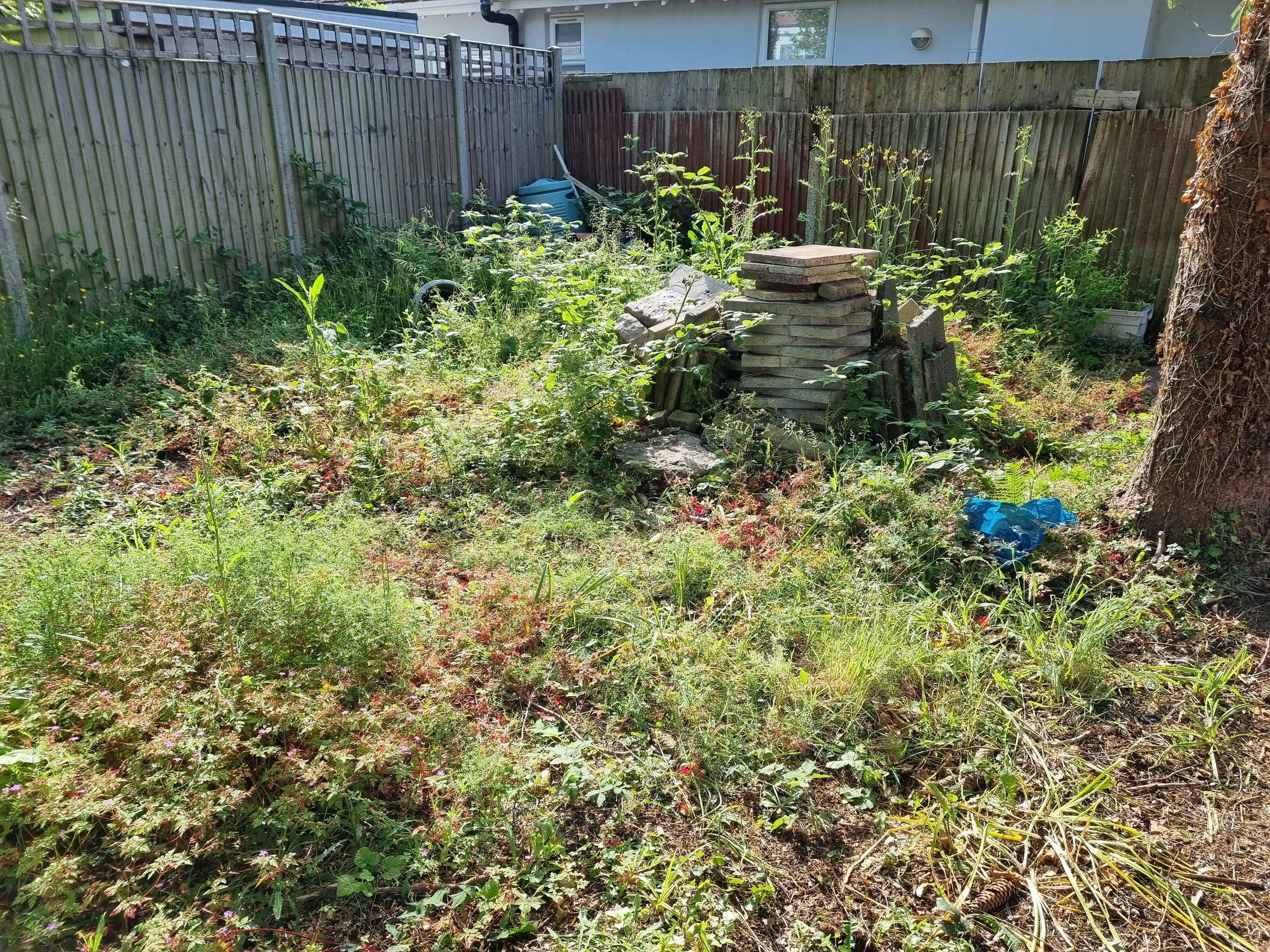 Garden clearance Edgware before.jpg