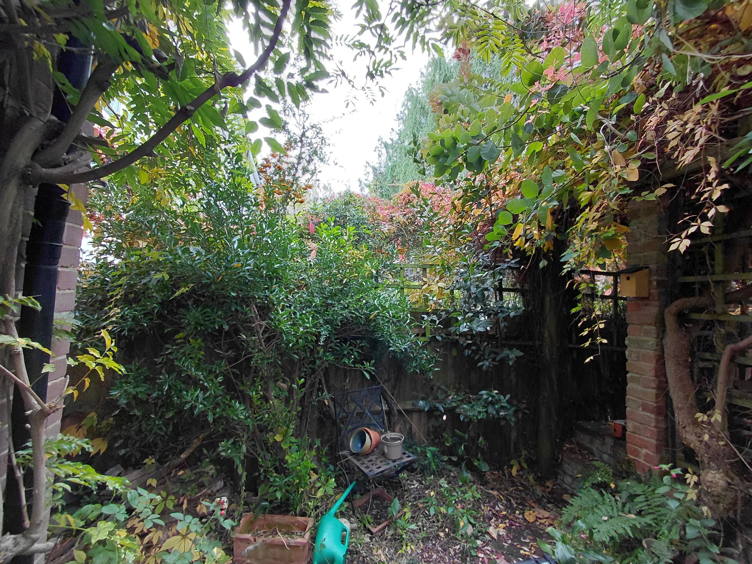 Fence Loughton before.jpg