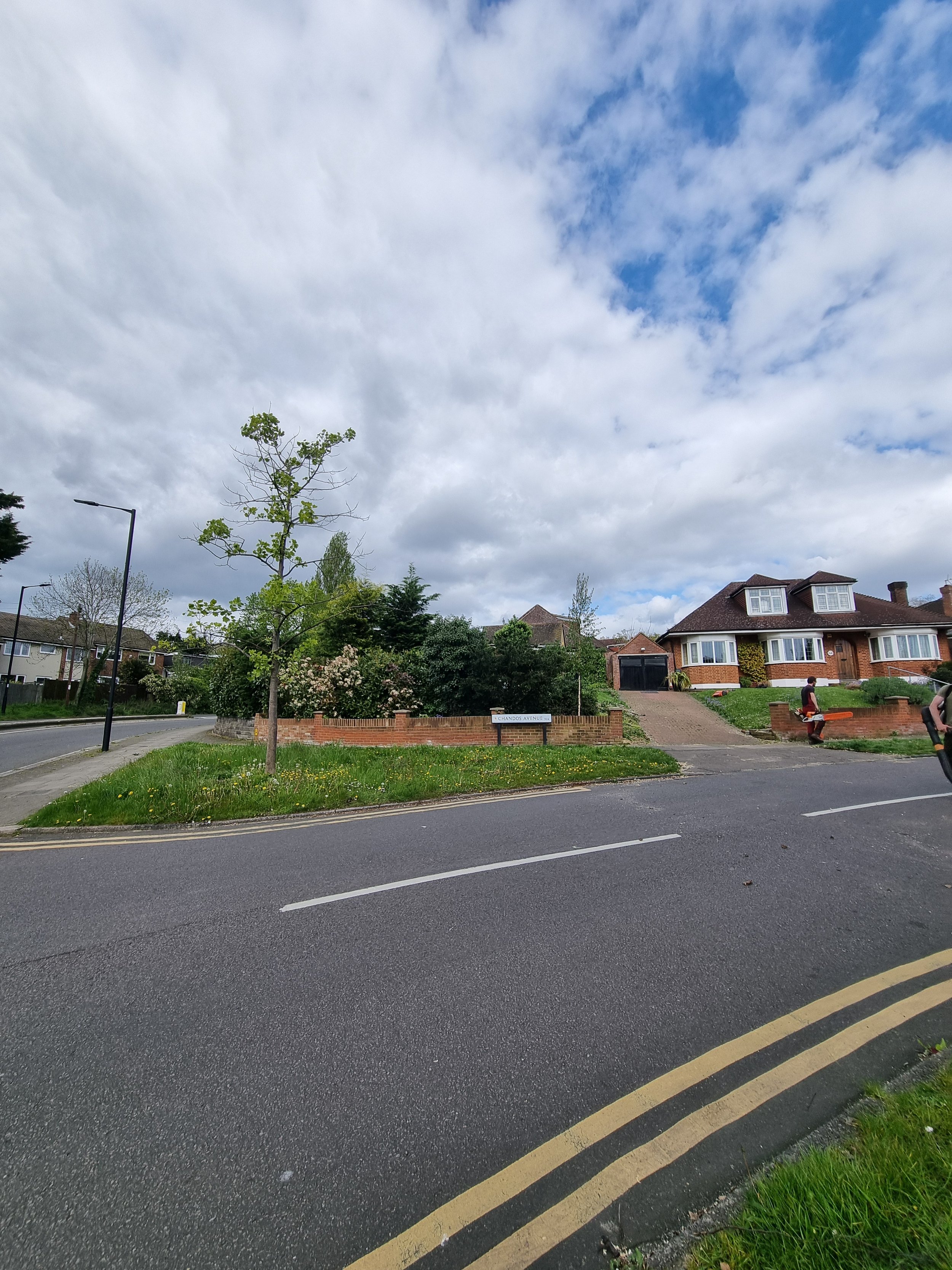 Tree removal Enfield after.jpg