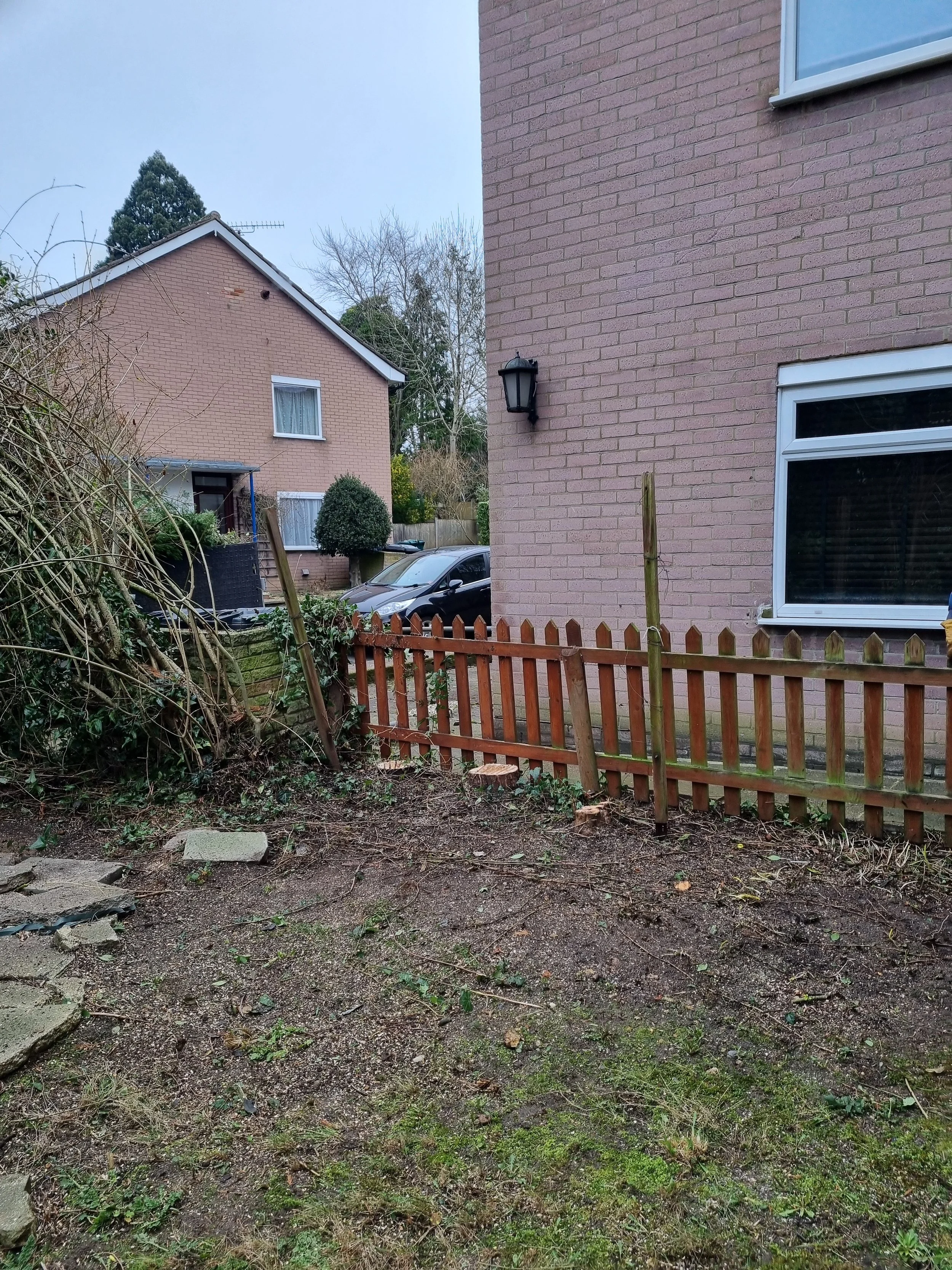 Tree removal Barnet after.jpg