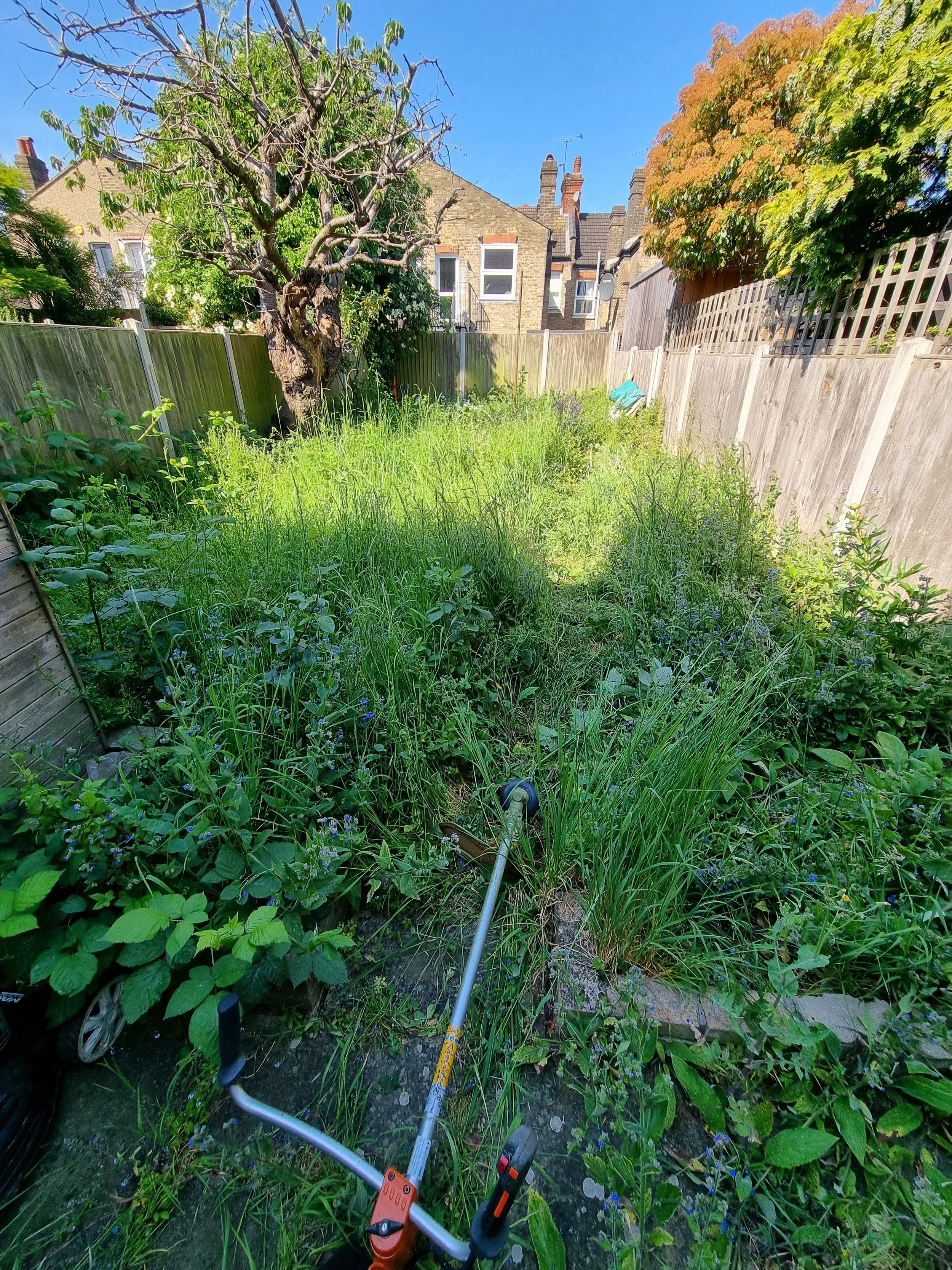 Garden clearance  Walthamstow before.jpg
