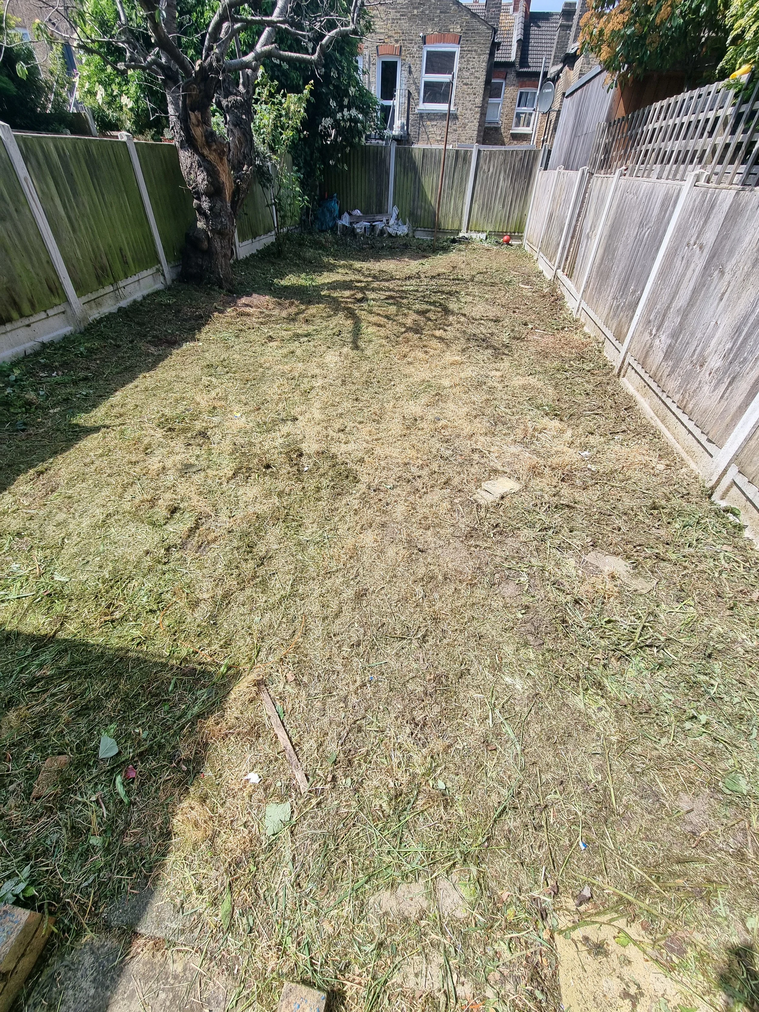 Garden clearance  Walthamstow after.jpg