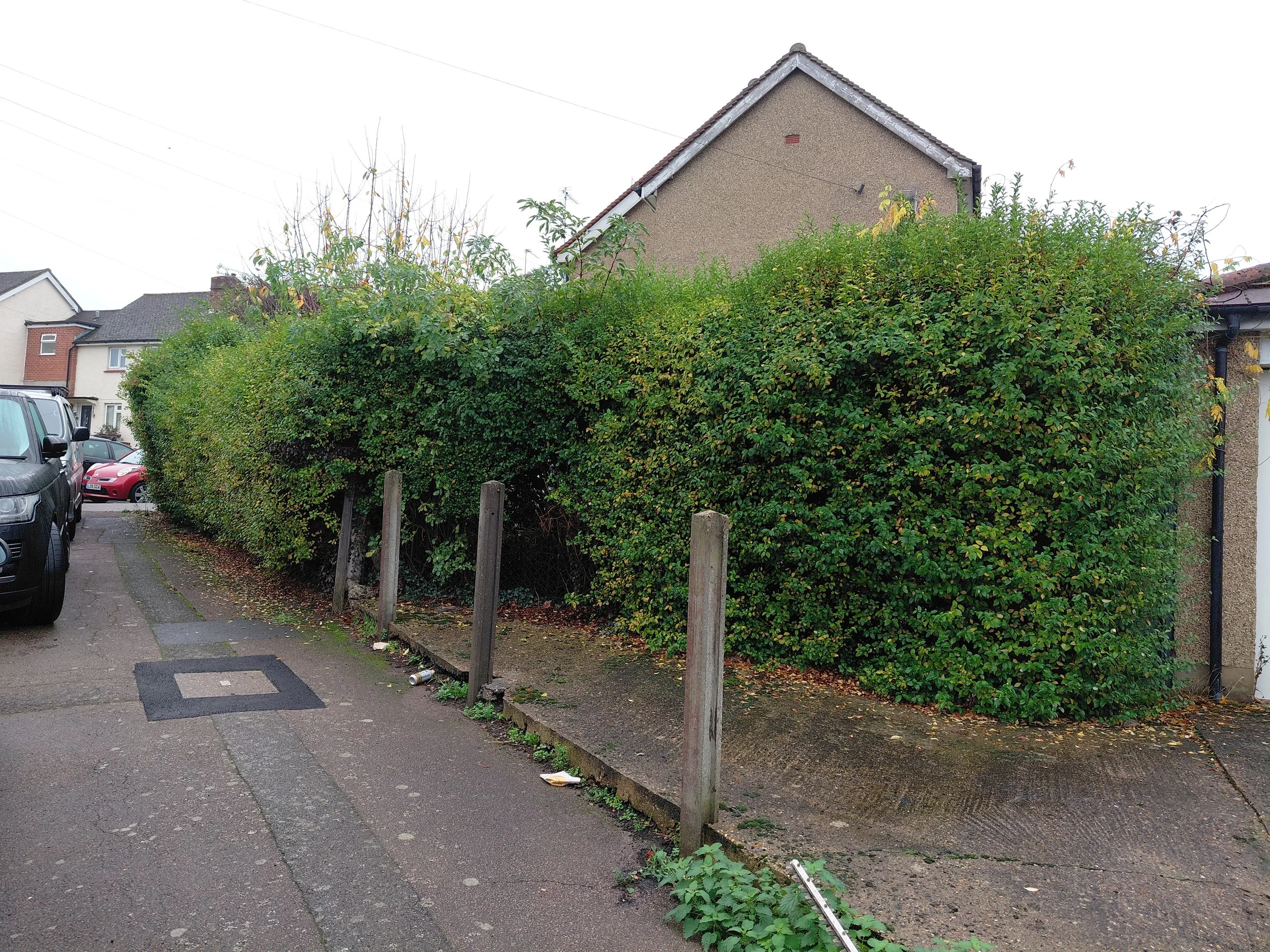 Hedge trimming waltham abbey before.jpg