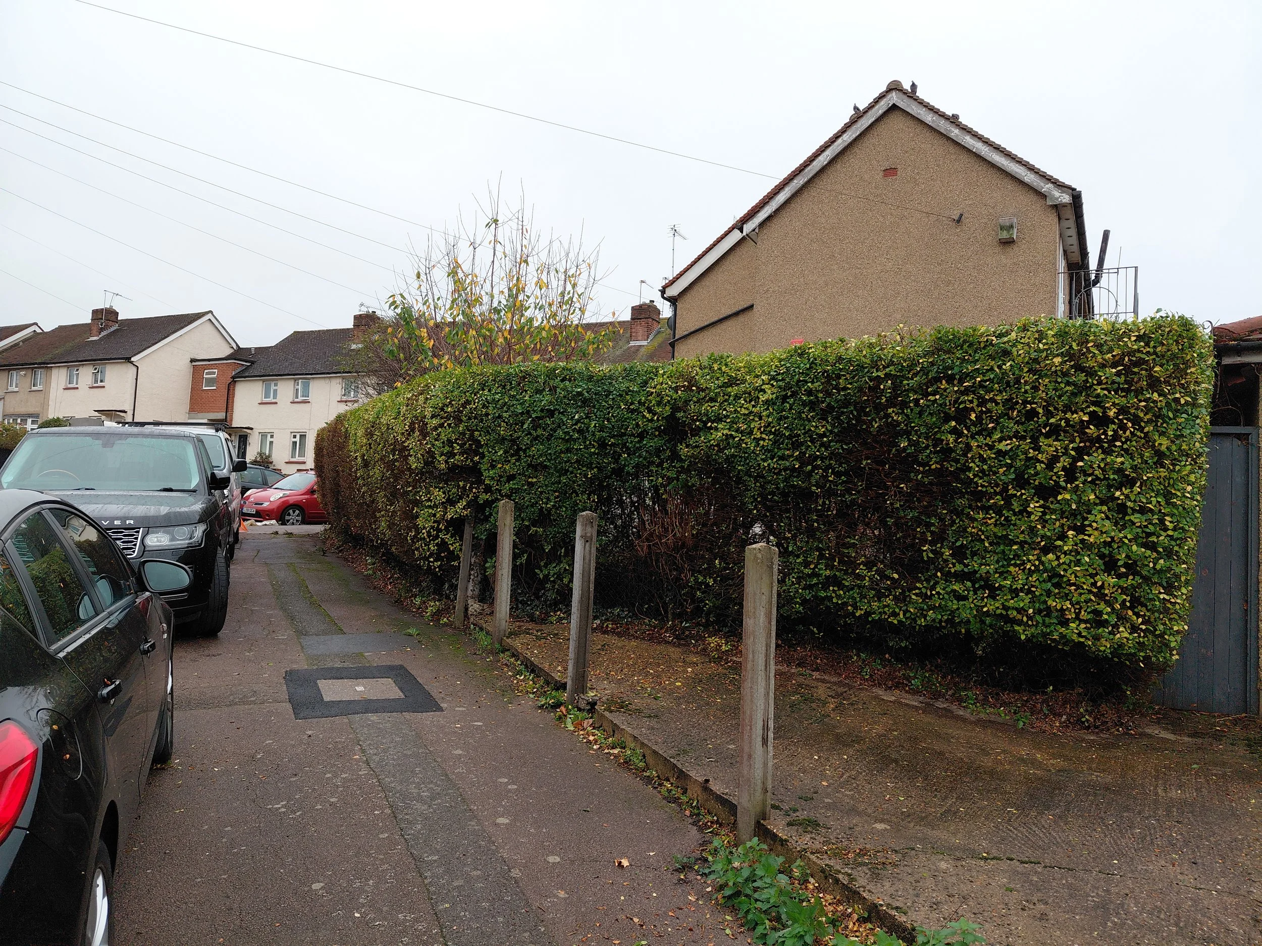 Hedge trimming waltham abbey after.jpg