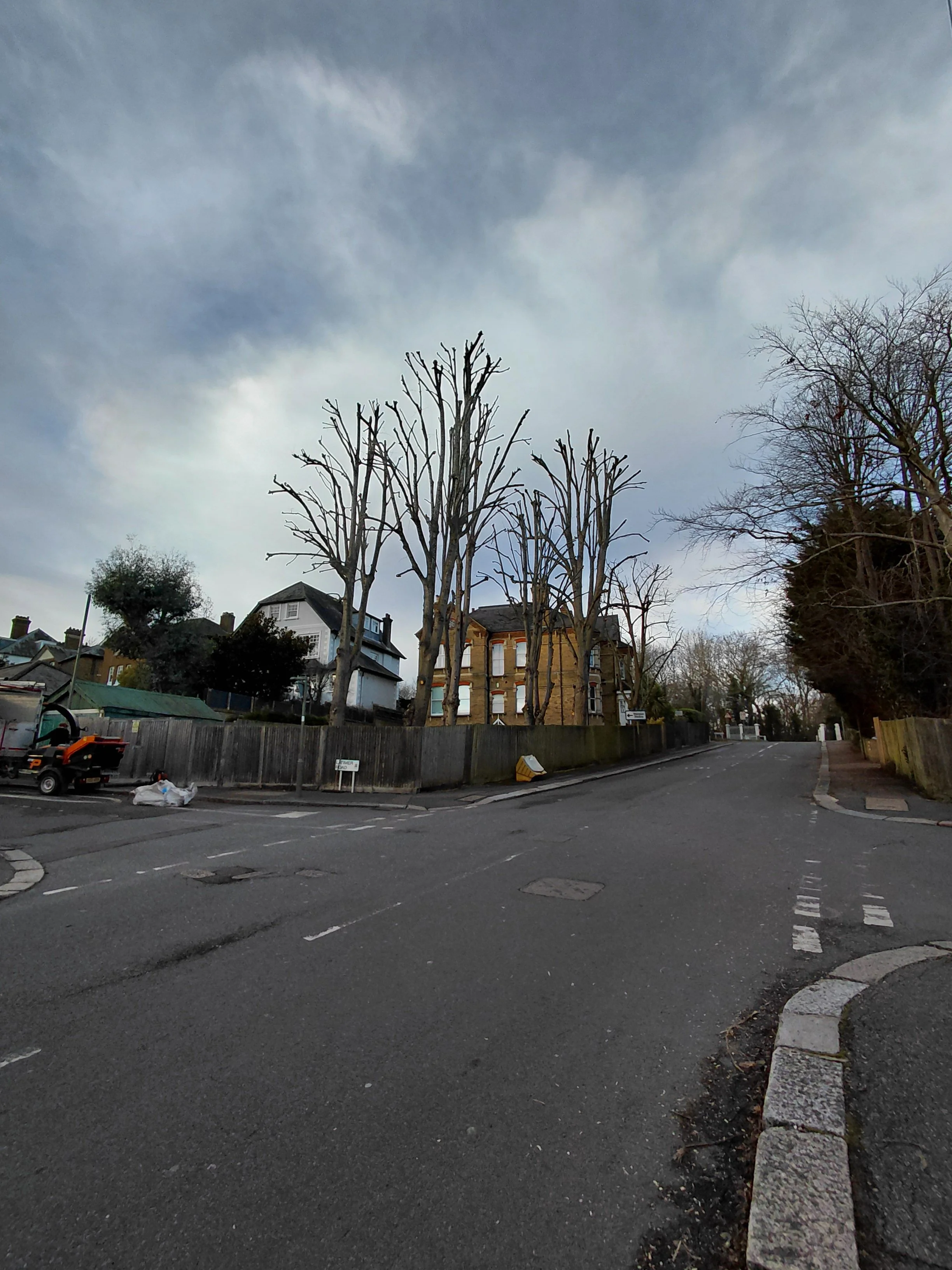 Tree pollarding hadley wood after.jpg