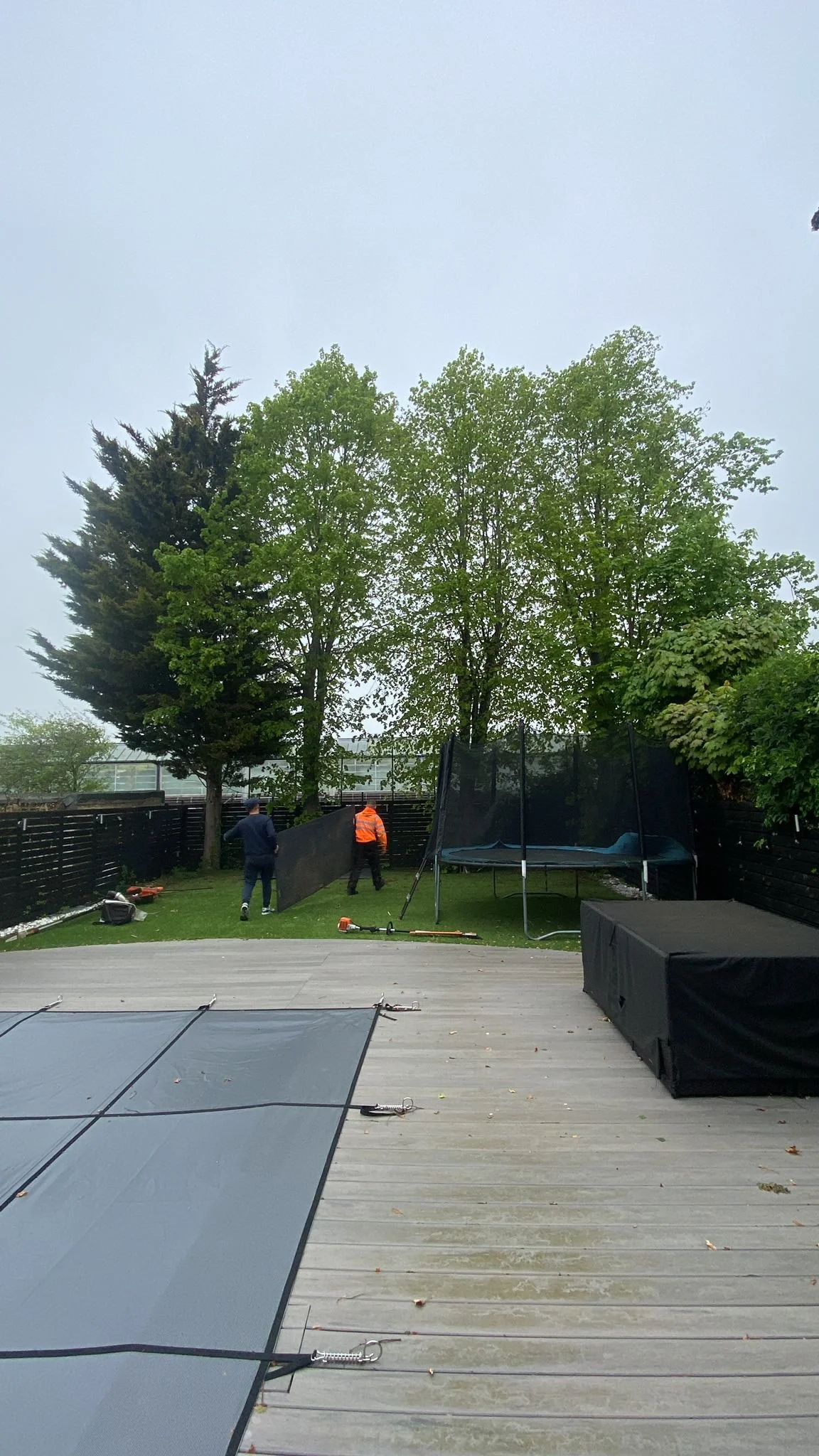 Tree Reduction 1.jpg