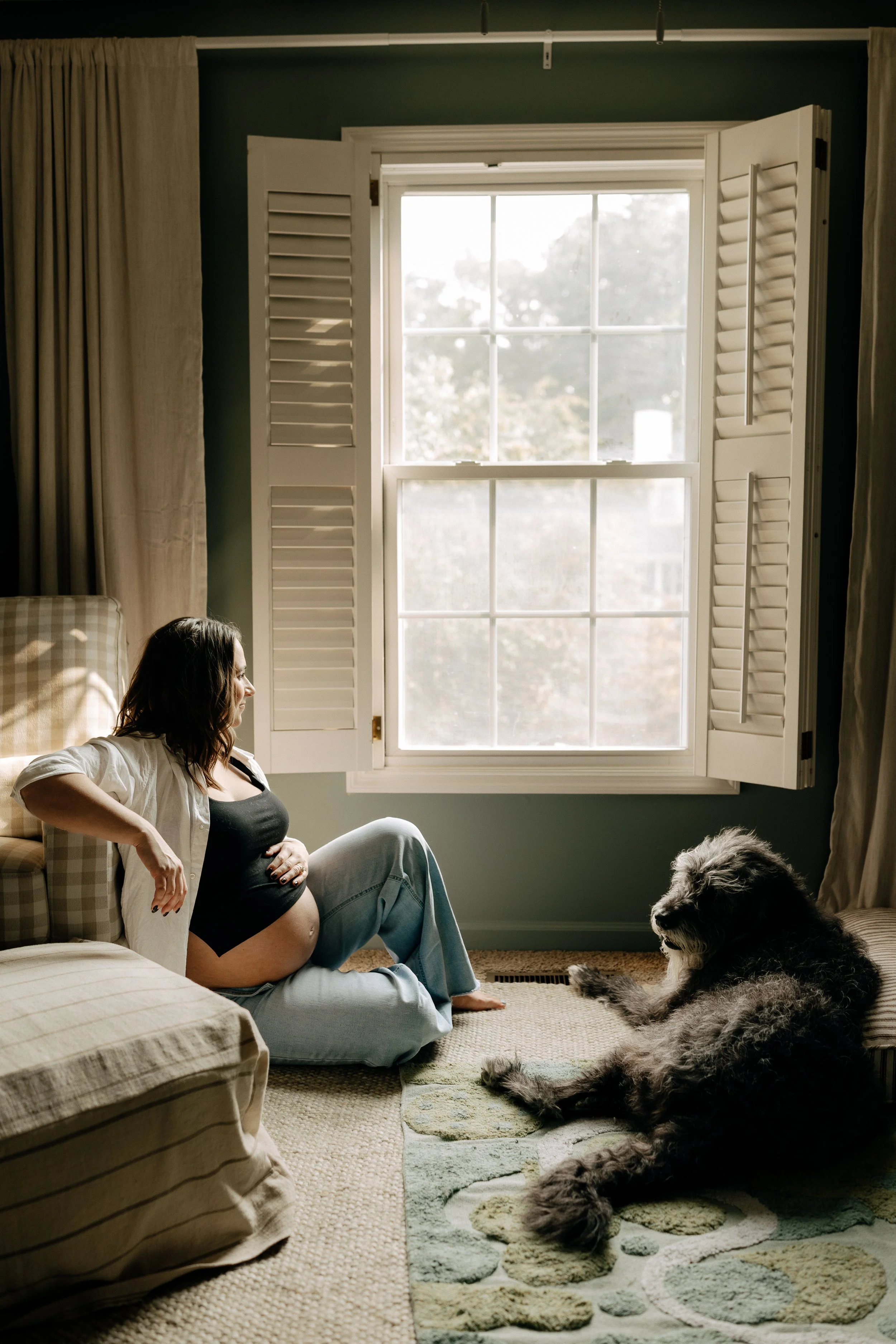 Pregnant women and fluffy dog starring out the window at home mid day - In Home Maternity Photography