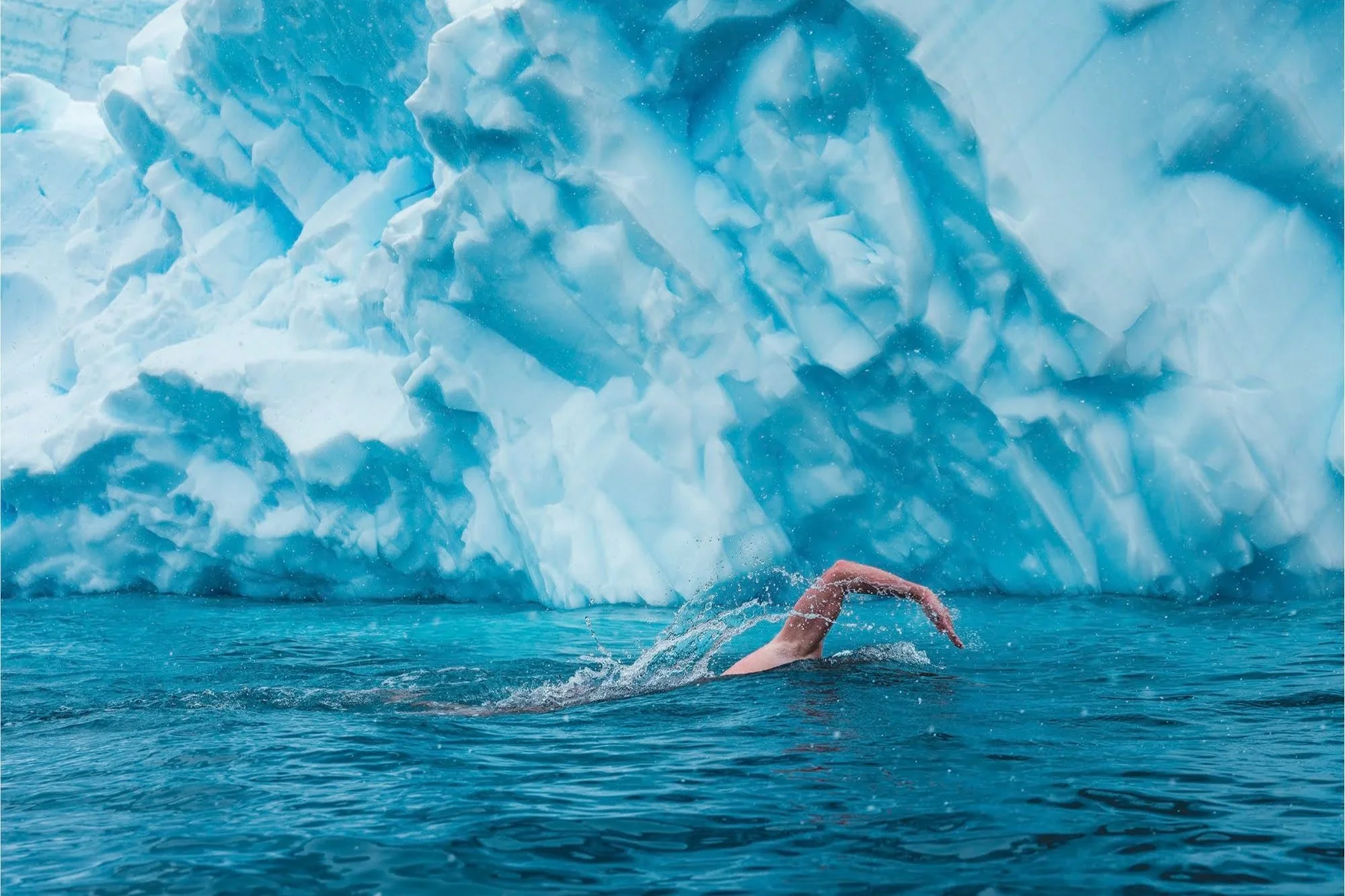 Weddell Sea, 2017
Training swim in Antarctica
Photo by Olle Nordell