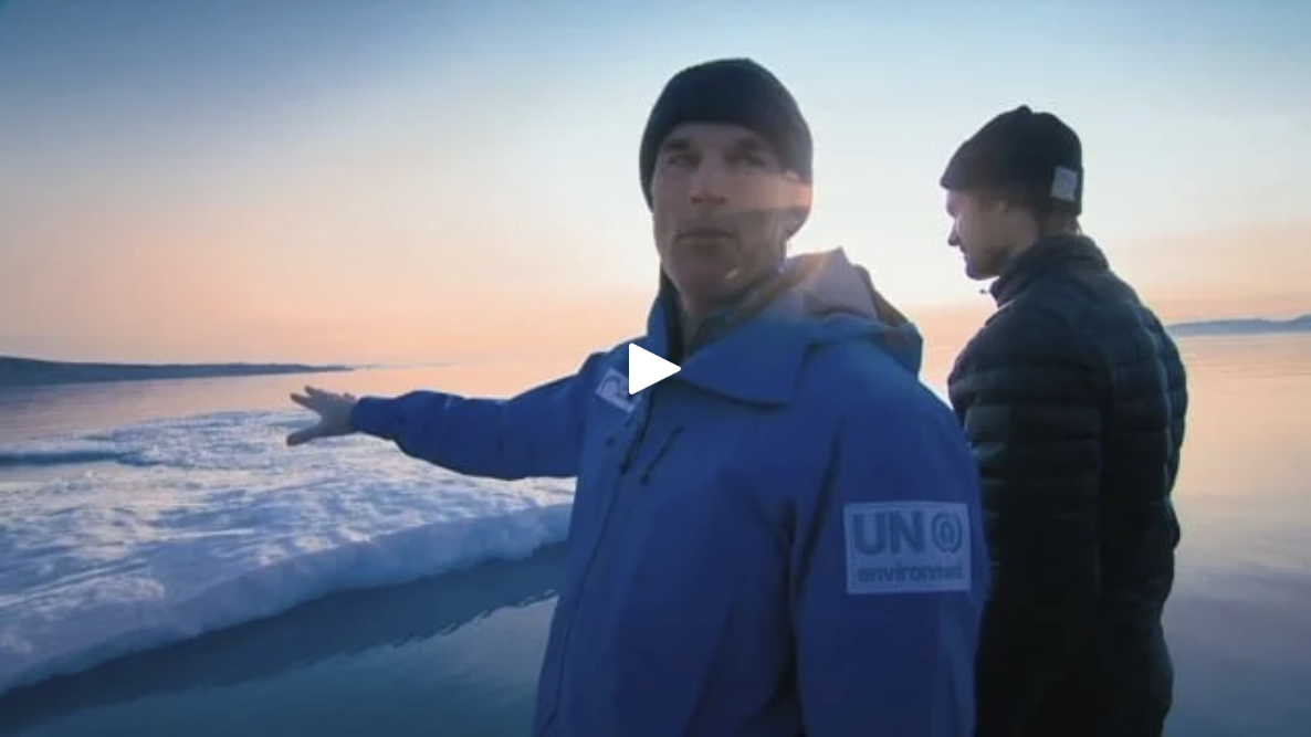 Arctic Peril, 2017