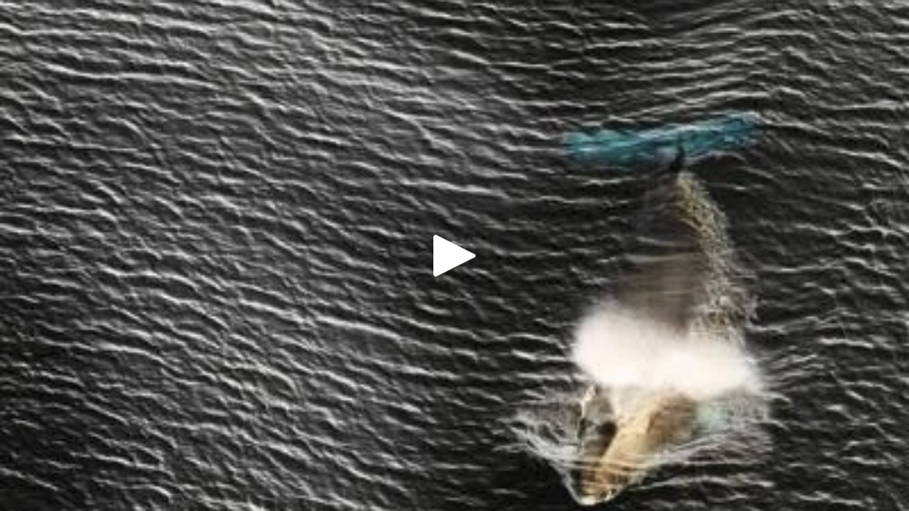 Ross Sea, Antarctica, 2016