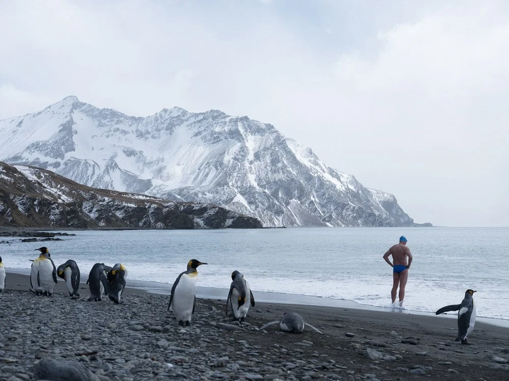 South Georgia, 2017
Preparing for a swim at St Andrew’s Bay
Photo by Olle Nordell