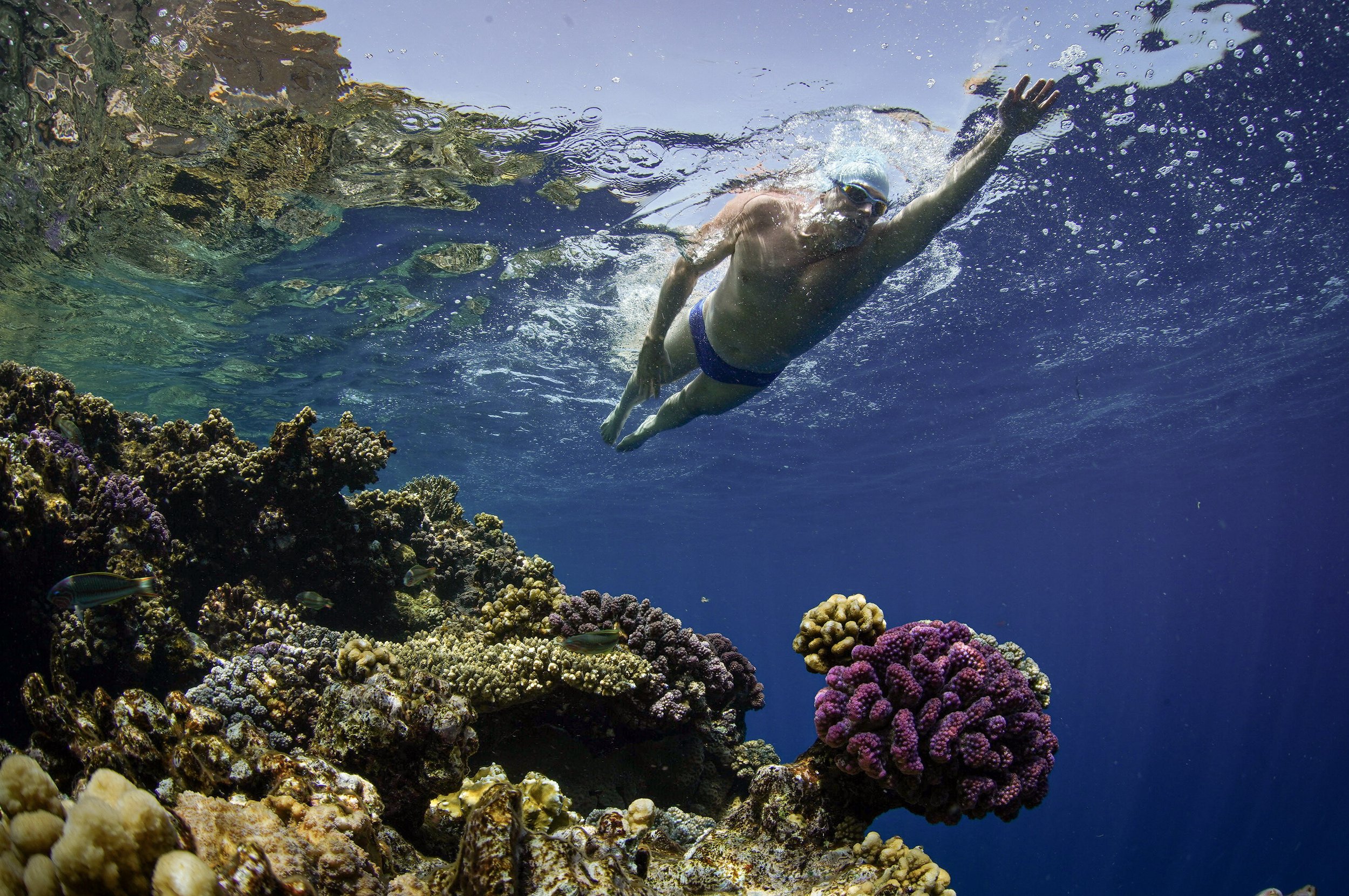 Red Sea, 2022
First swim across the Red Sea
Photo by Steve Benjamin