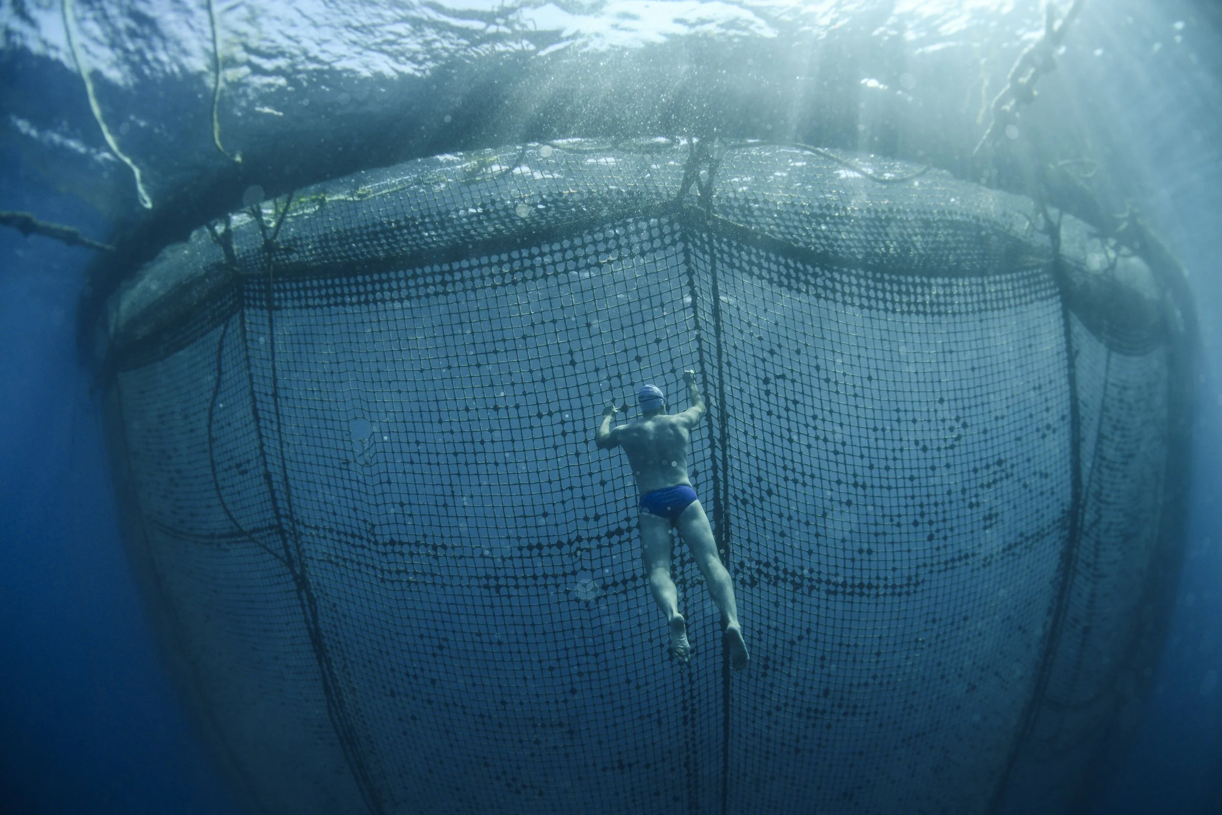 Adriatic Sea, 2014
Swimming past a tuna farm in Croatia
Photo by Kelvin Trautman