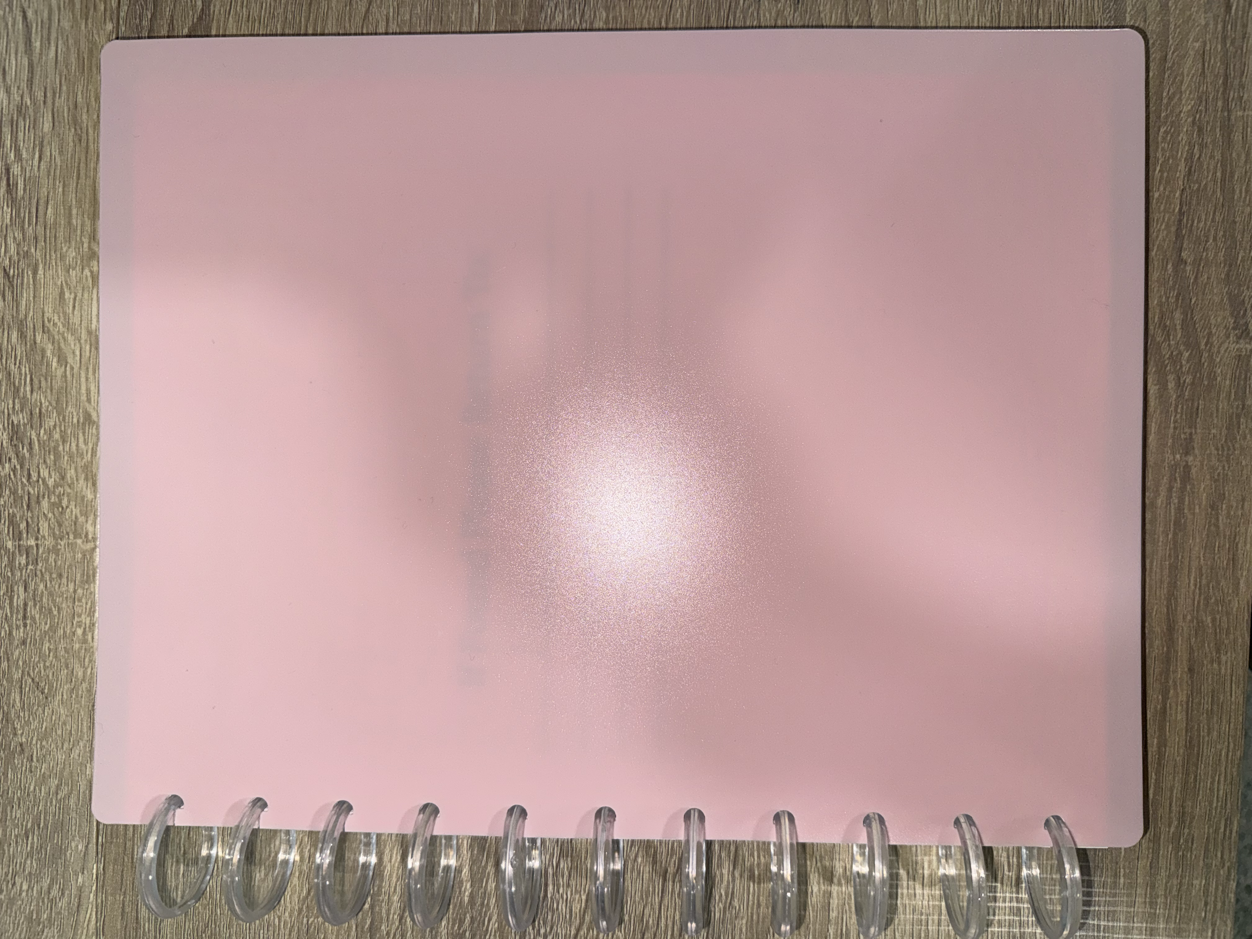 Discbound Planner w/ Colored Poly Cover