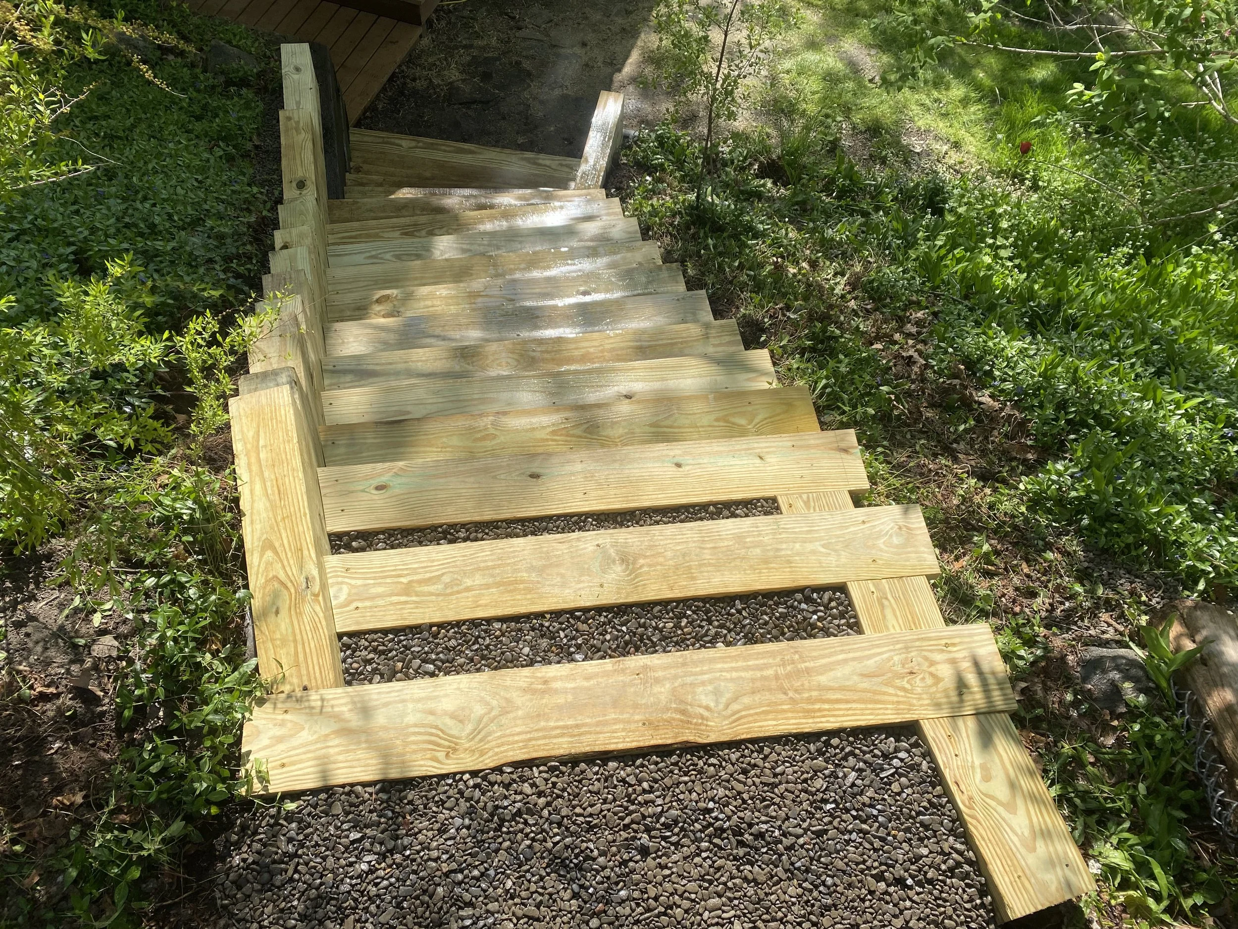 Wooden stairs or steps leading down into a garden or backyard area with green shrubs and plants on either side.
