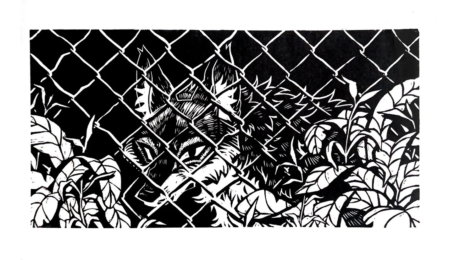 Quiet Coyote | Lino Print, 2025