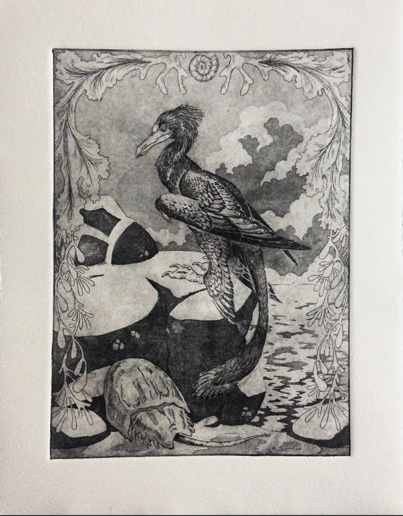 Ancient Cormorant | Etching Print with Aquatint, 2025