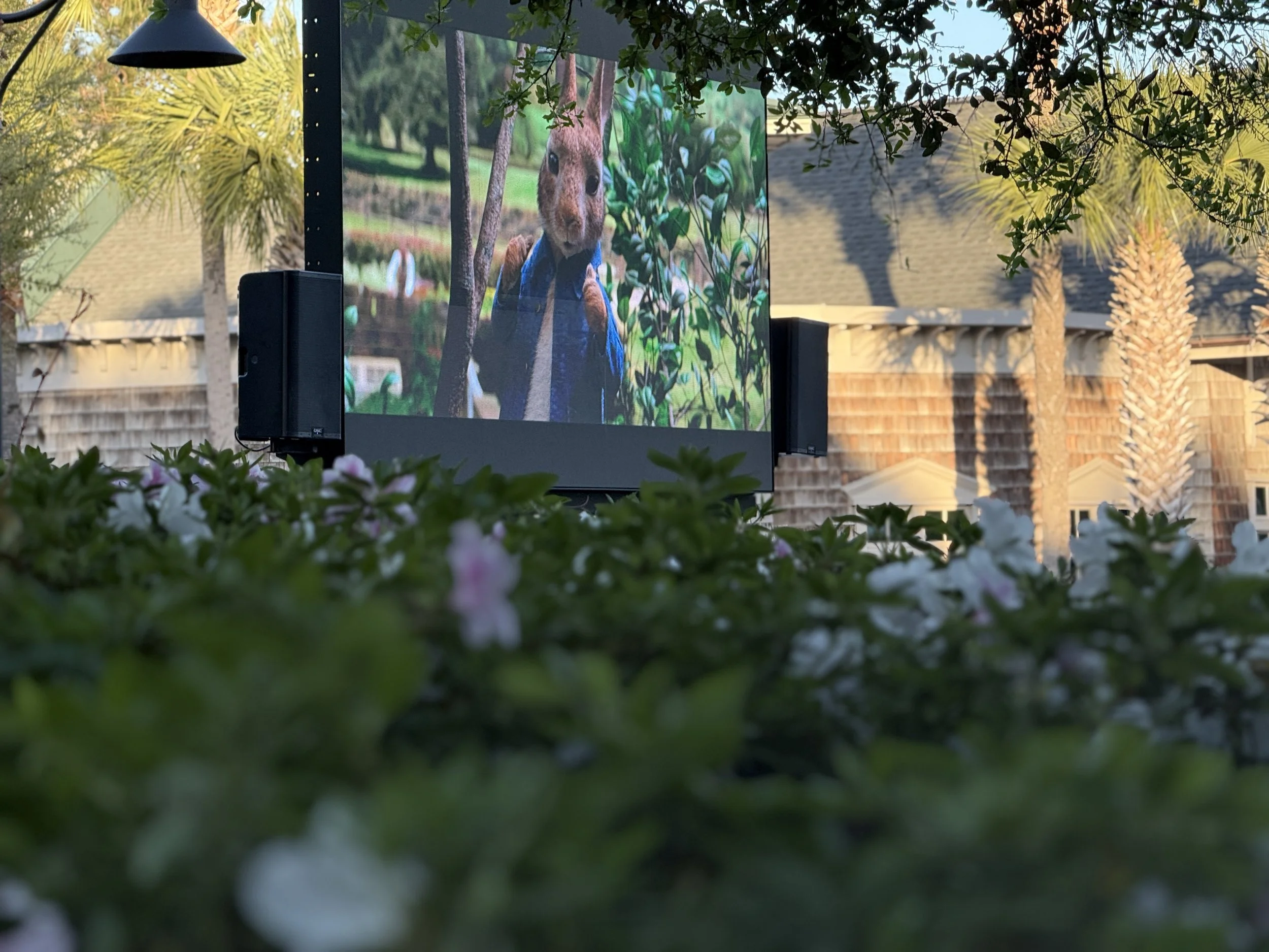 An outdoor movie screen displays an animated rabbit wearing a blue coat, surrounded by green foliage, with trees and rooftops in the background.