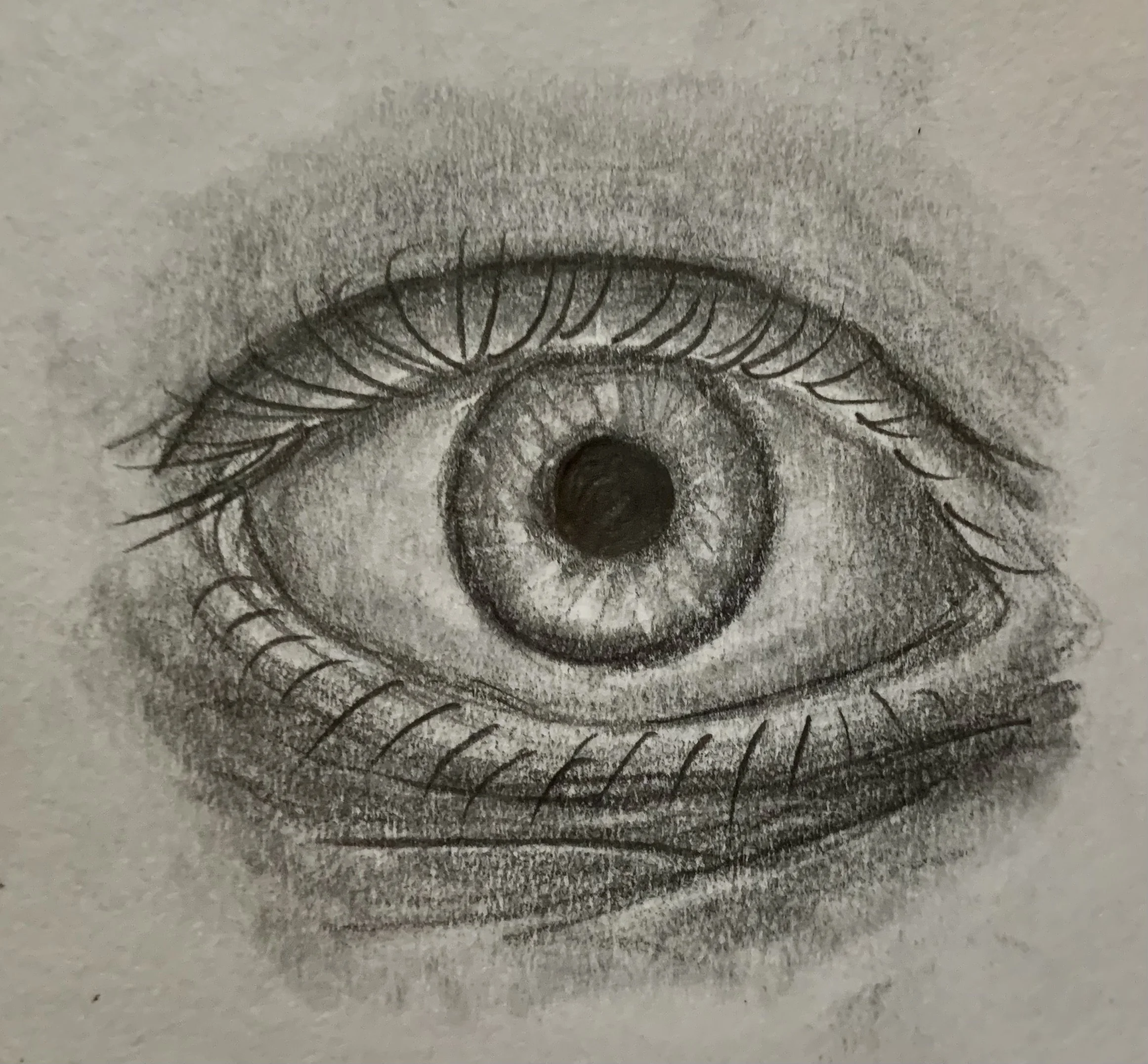 Human eye studies, no1. 2019