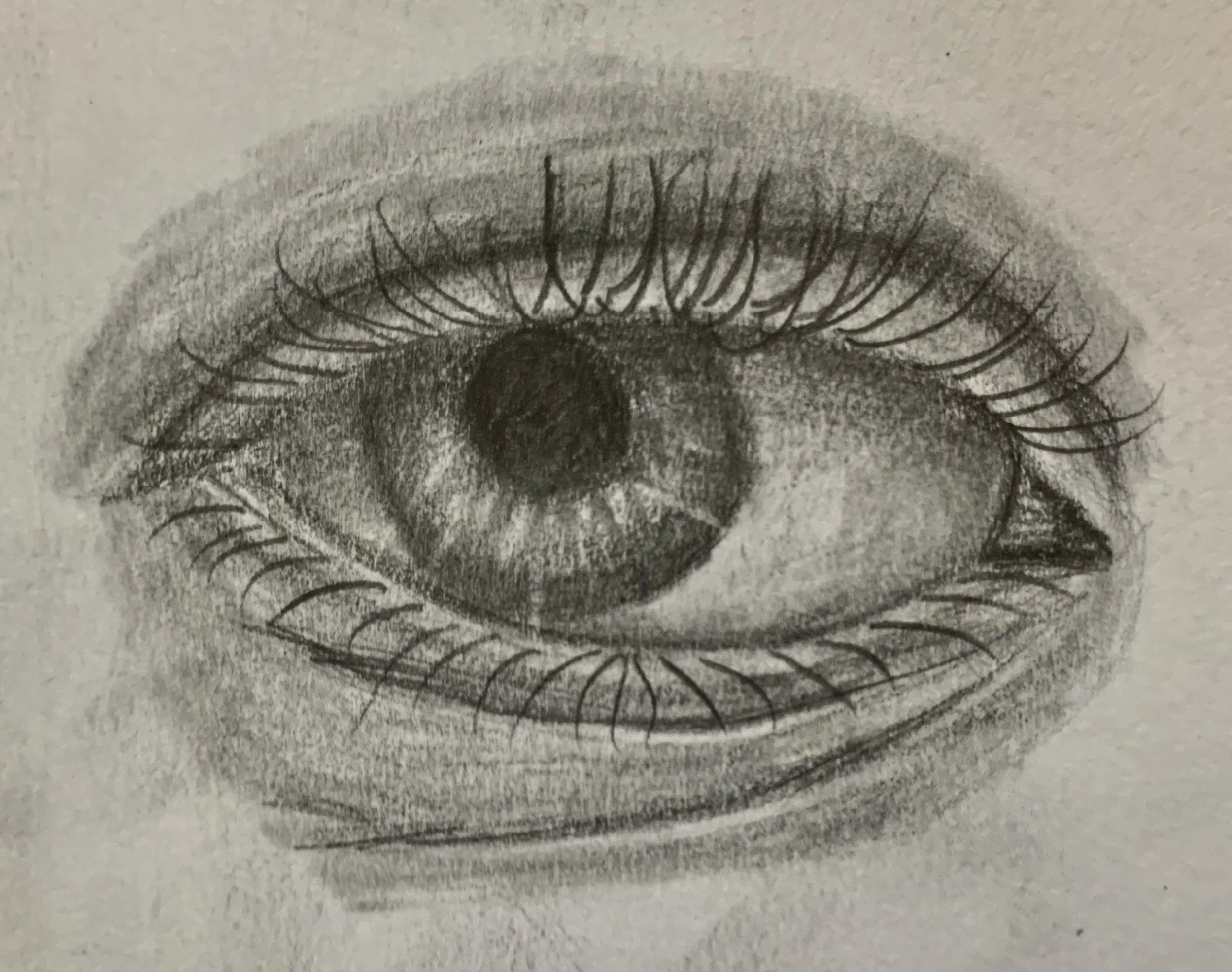 Human eye studies, no2. 2019