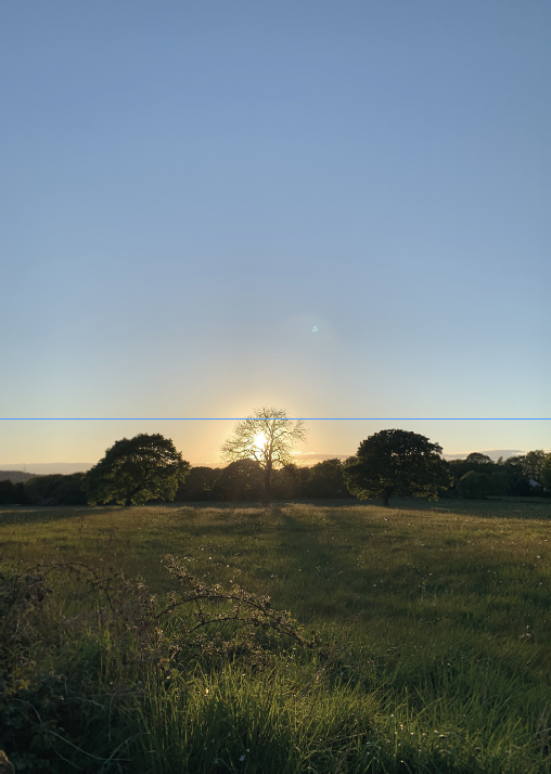 I also enjoy photographing the natural world, using the rule of thirds as a guiding principle.