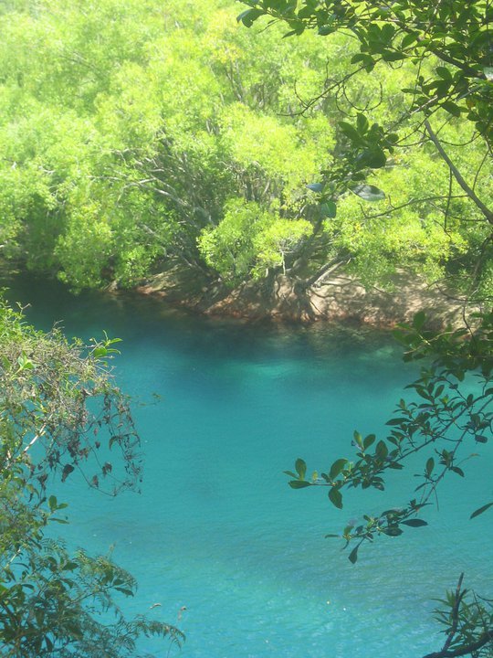 Blick auf einen ruhigen, blauen Fluss, umgeben von grünen Bäumen und Sträuchern.
