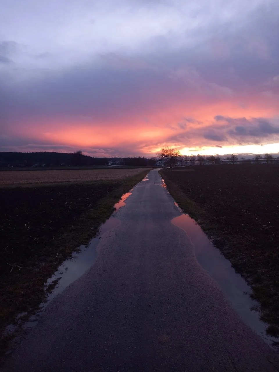 Straße bei Sonnenuntergang, beleuchteter Himmel mit rosa und violetten Wolken, Pfützen spiegeln den Himmel wider.