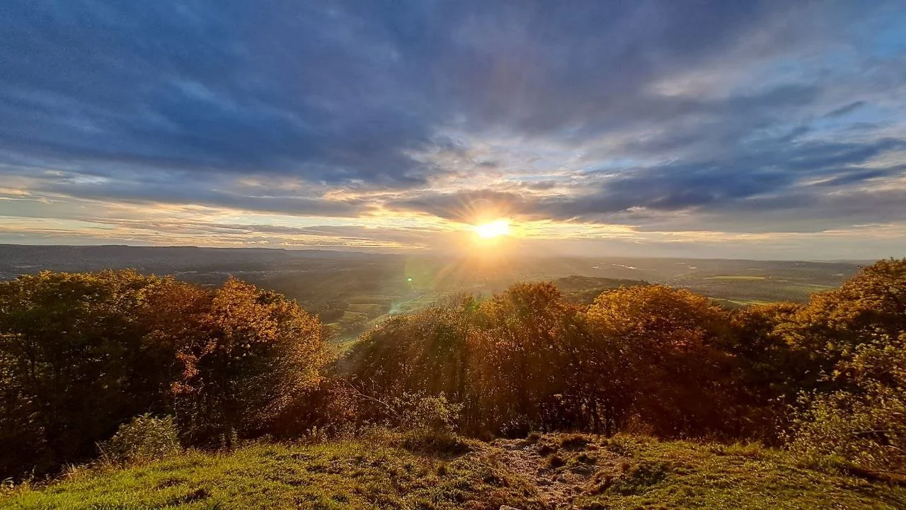 Blick auf eine Landschaft bei Sonnenuntergang mit bunten Bäumen im Vordergrund und einem offenen Himmel mit Wolken im Hintergrund.