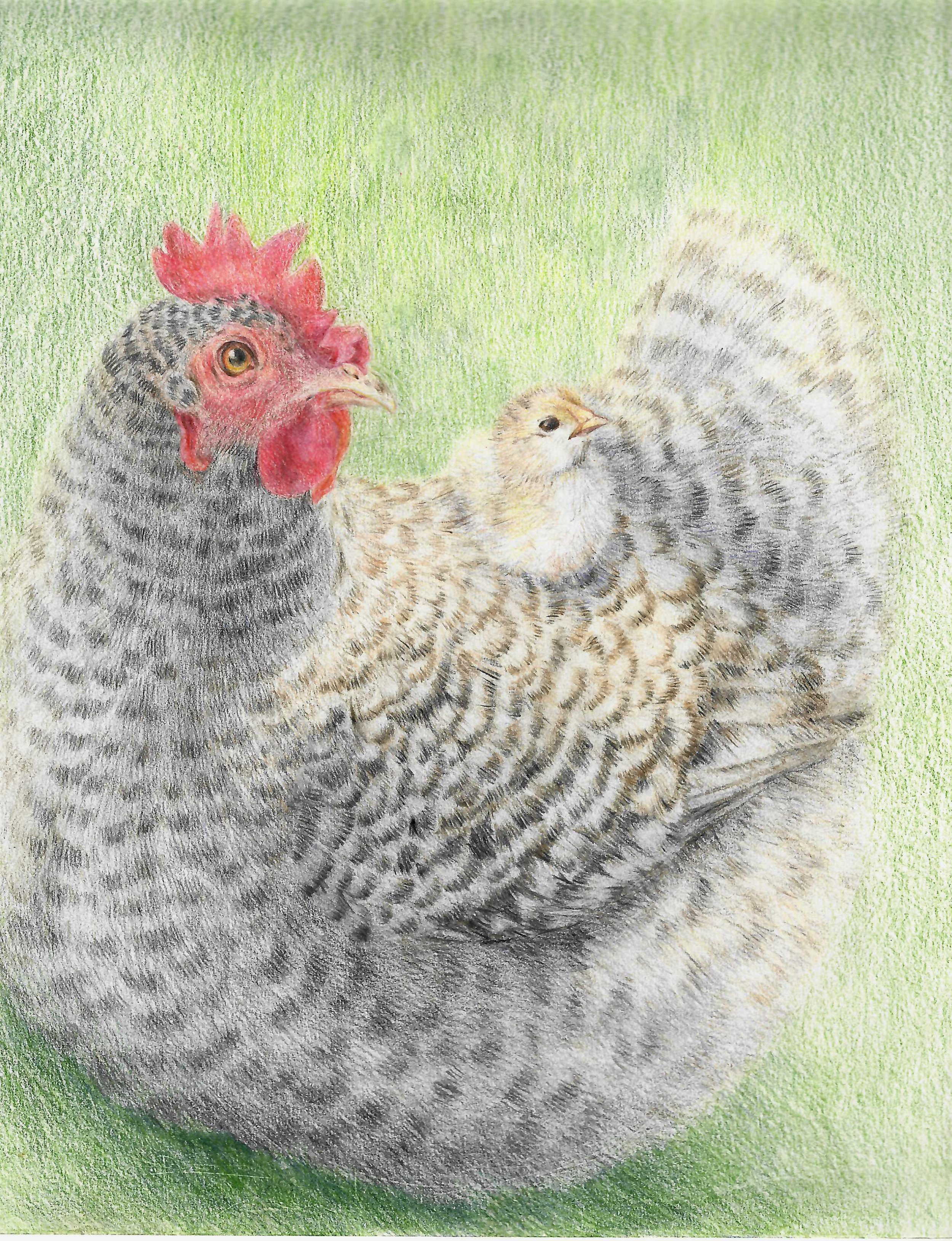 DISTINCTION AWARD / Aleeza Xiang / Grade 9 / My Hero / USA
