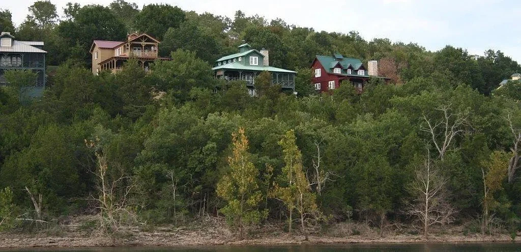 crooked tree summer.jpeg