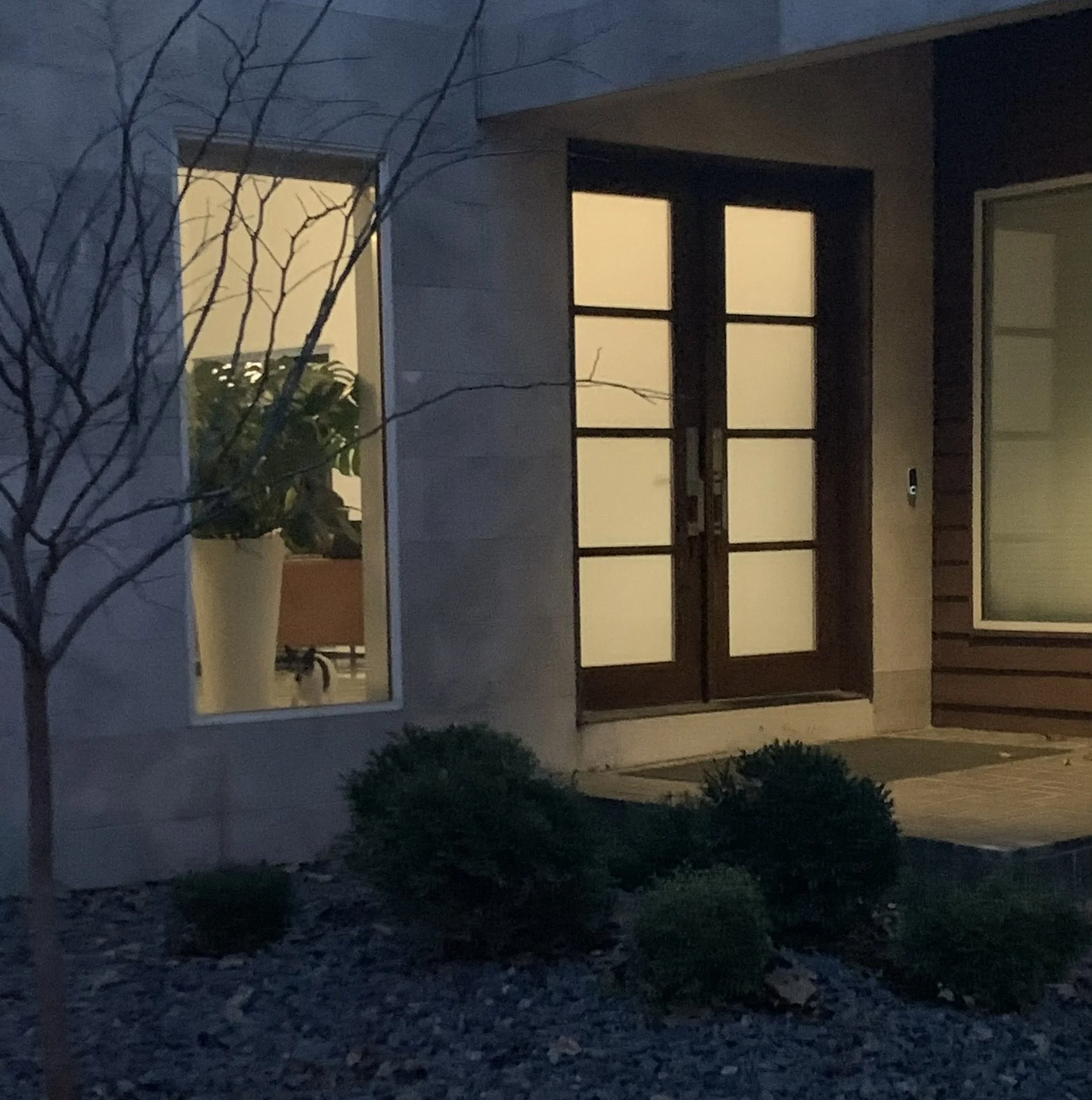 cave creek fiona.JPEG