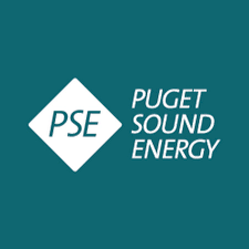 PSE-square.png