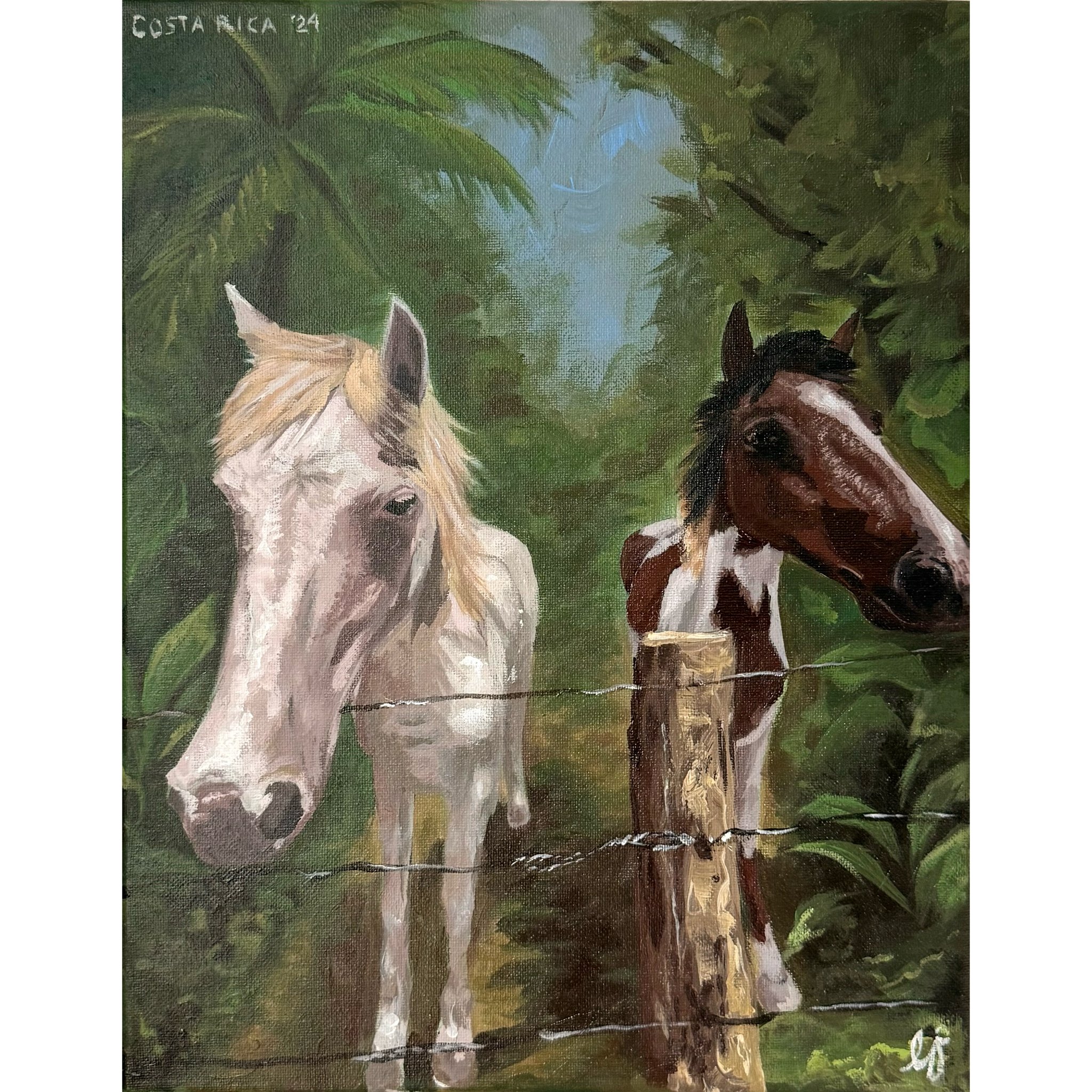 Camino de los Caballos